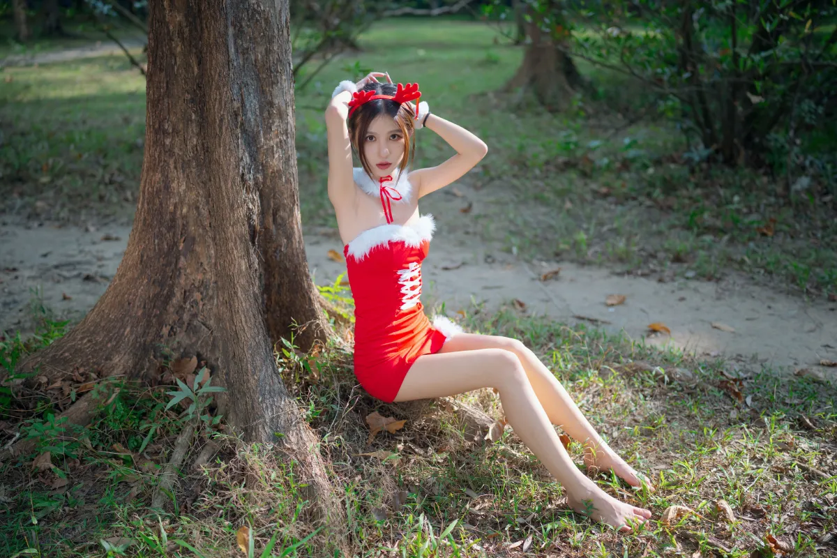 圣诞小仙女5