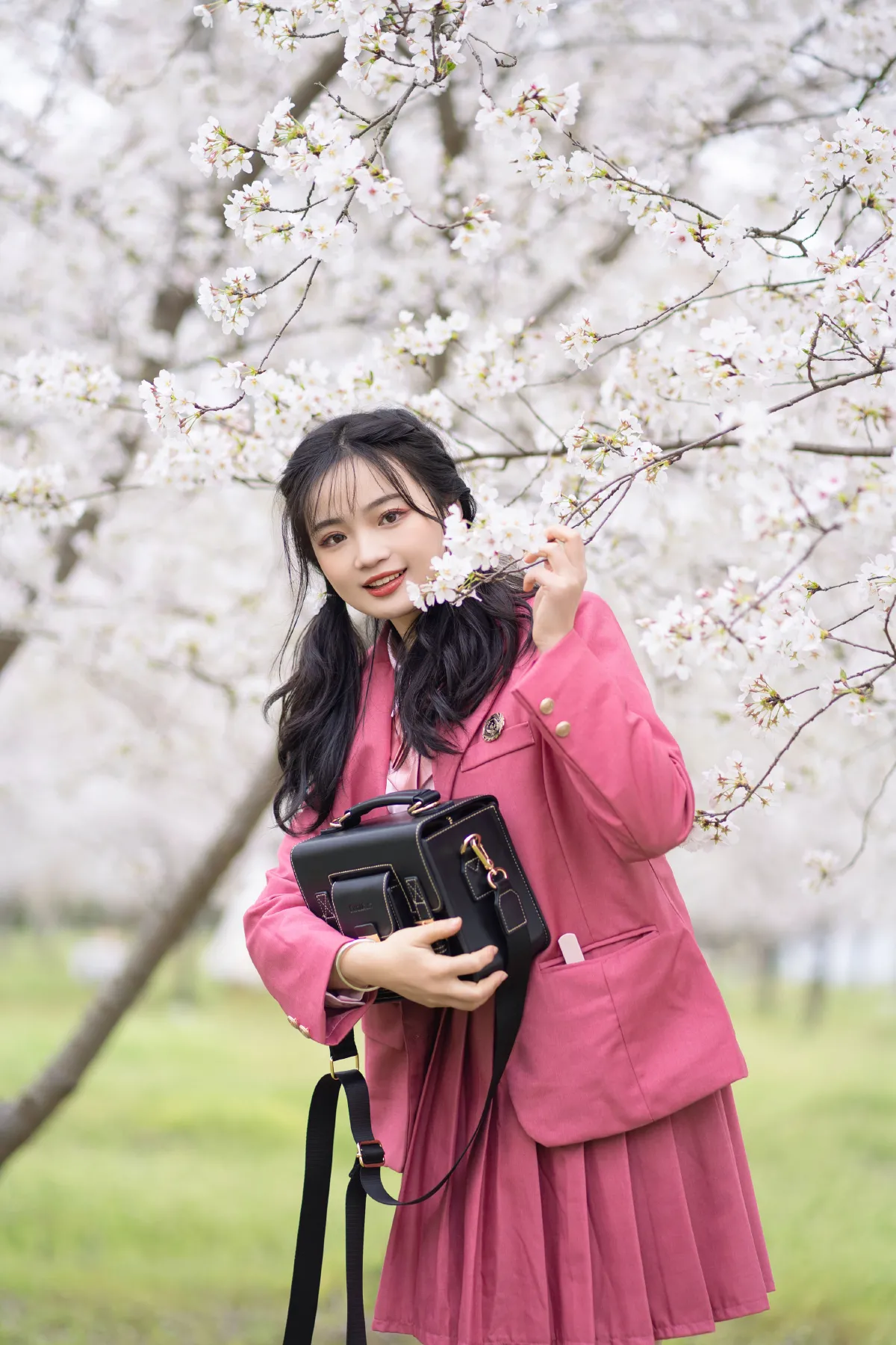 樱花树下