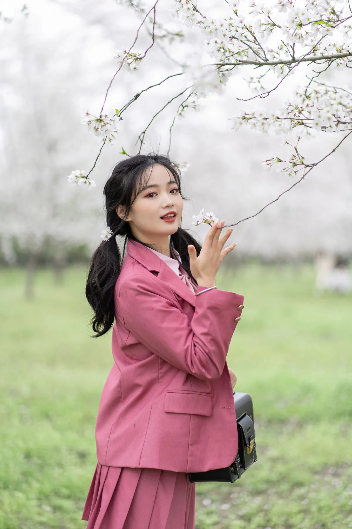 樱花树下