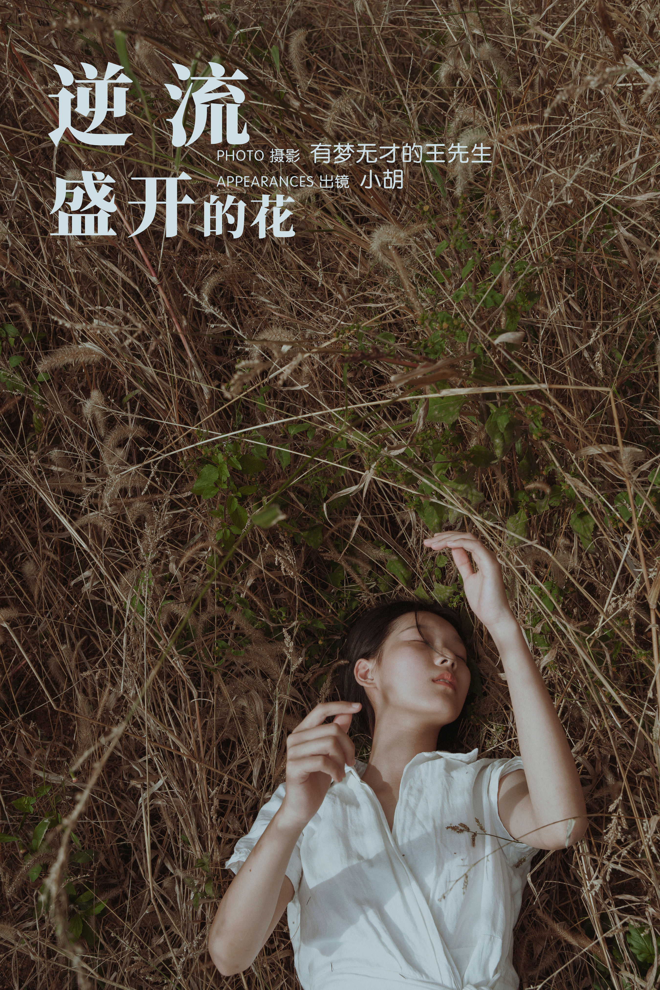 有梦无才的王先生_小胡《逆流盛开的花》美图作品图片1