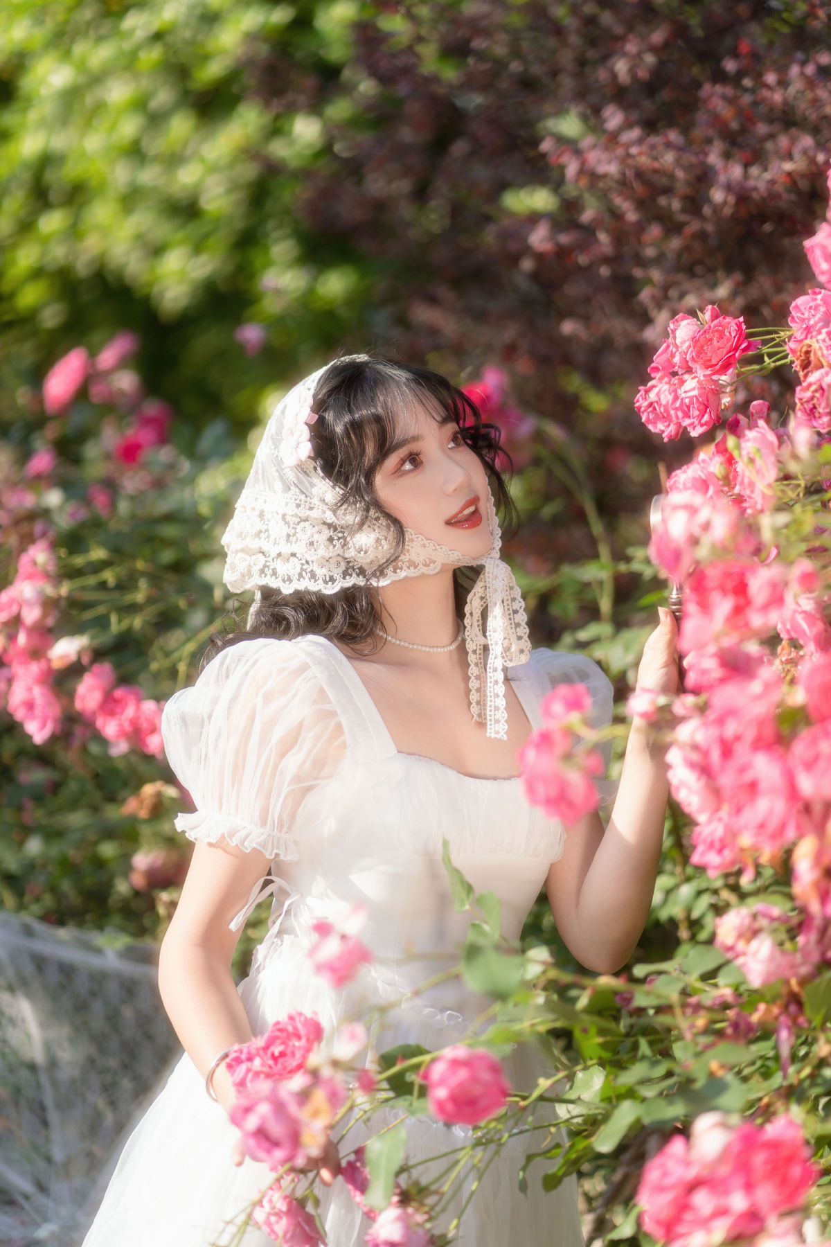 沉醉蔷薇花海1
