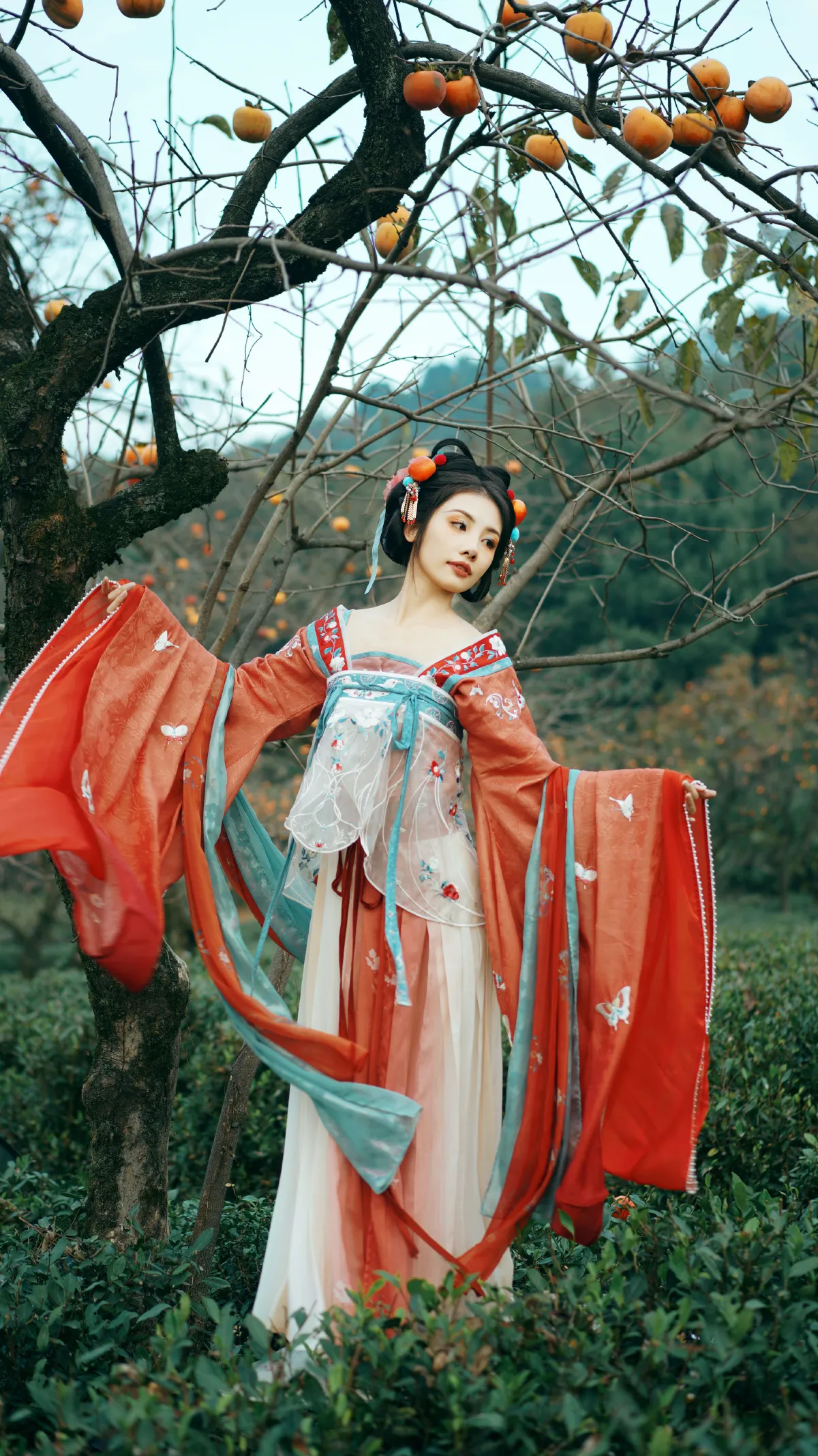 柿林精怪2