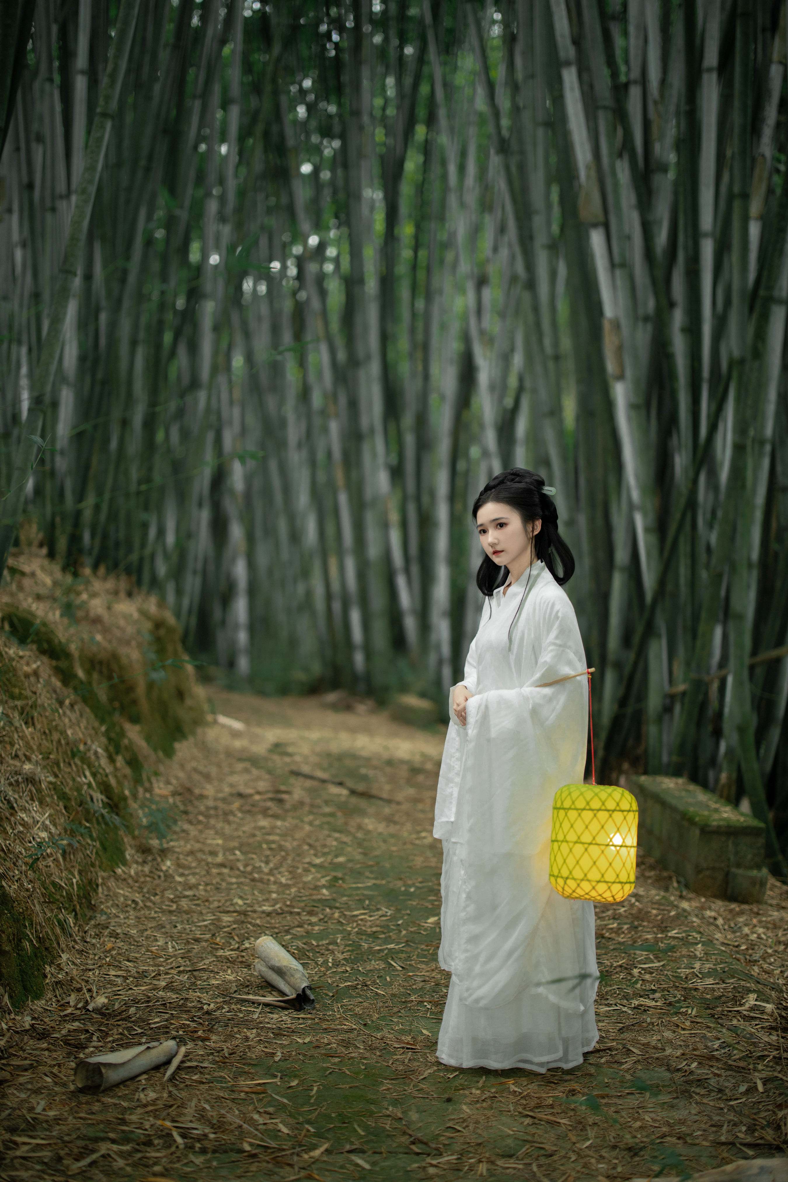微风竹林