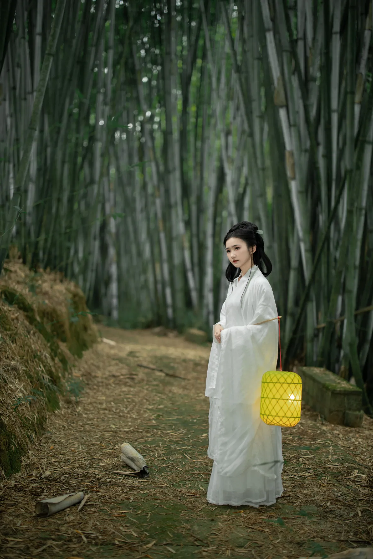 微风竹林1