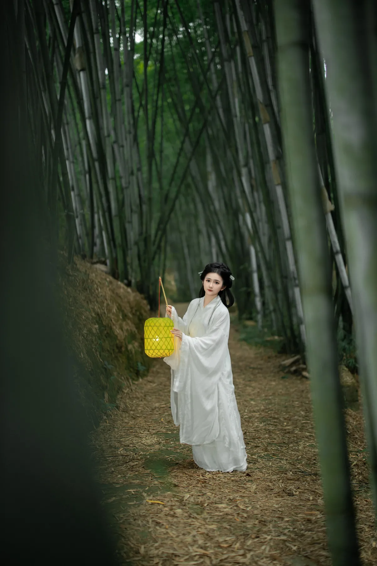 微风竹林