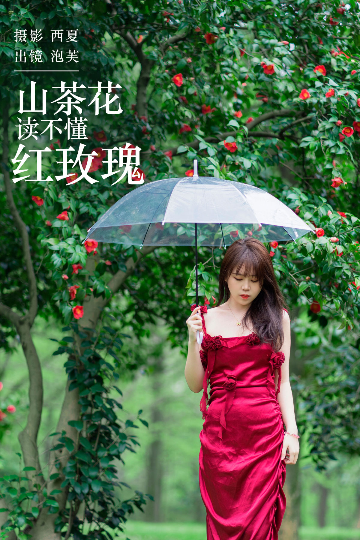 西夏_泡芙小方《山茶花读不懂红玫瑰》美图作品图片1