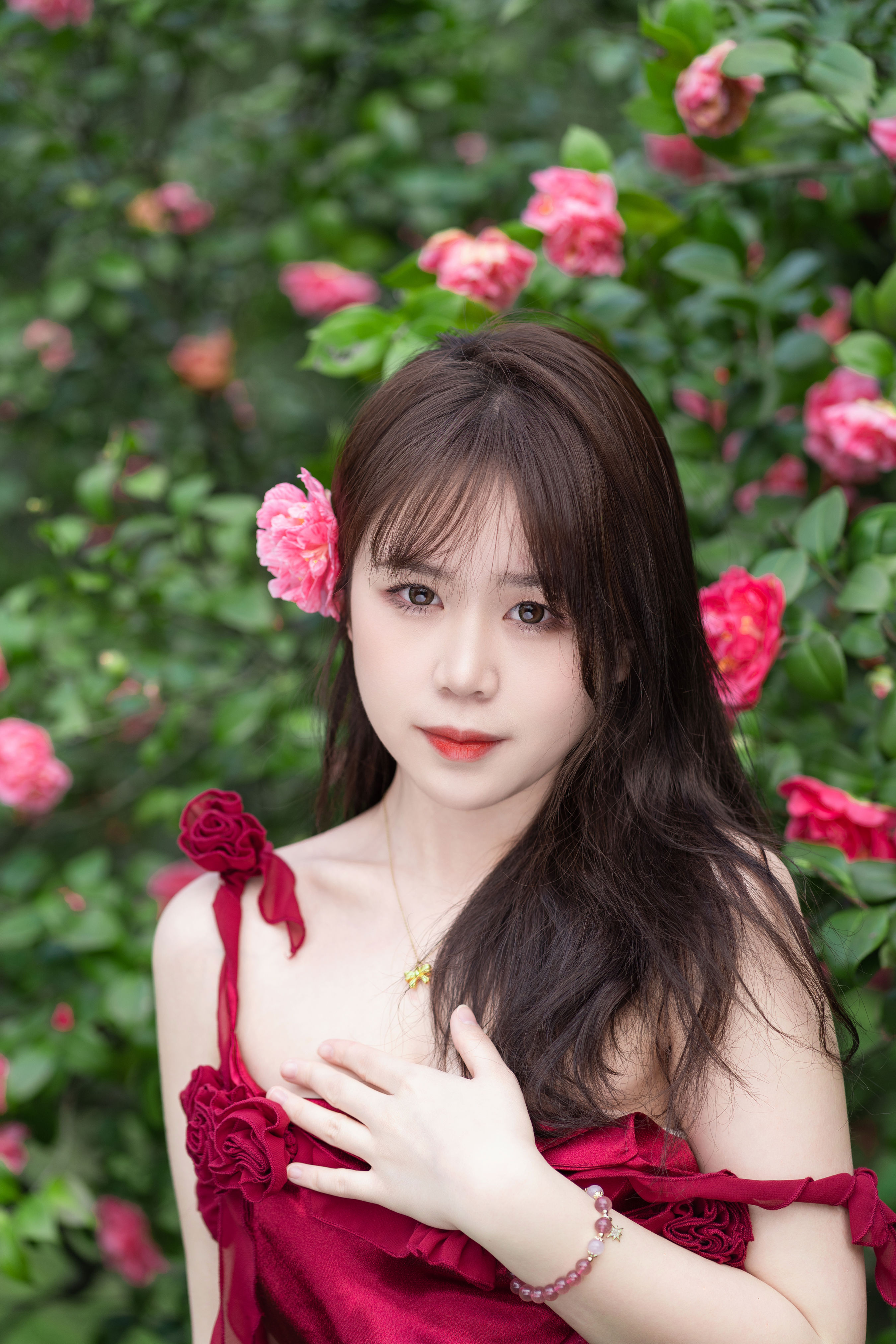 山茶花读不懂红玫瑰