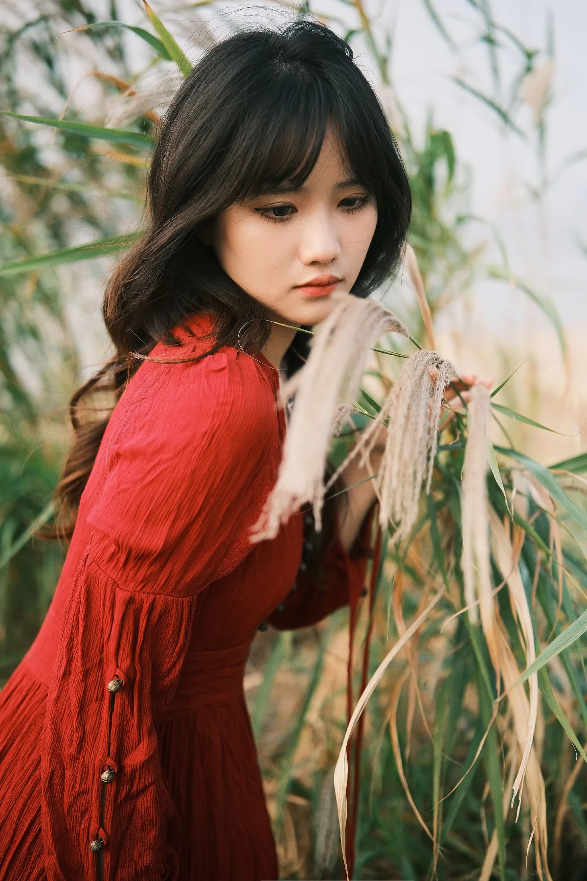 偏爱2