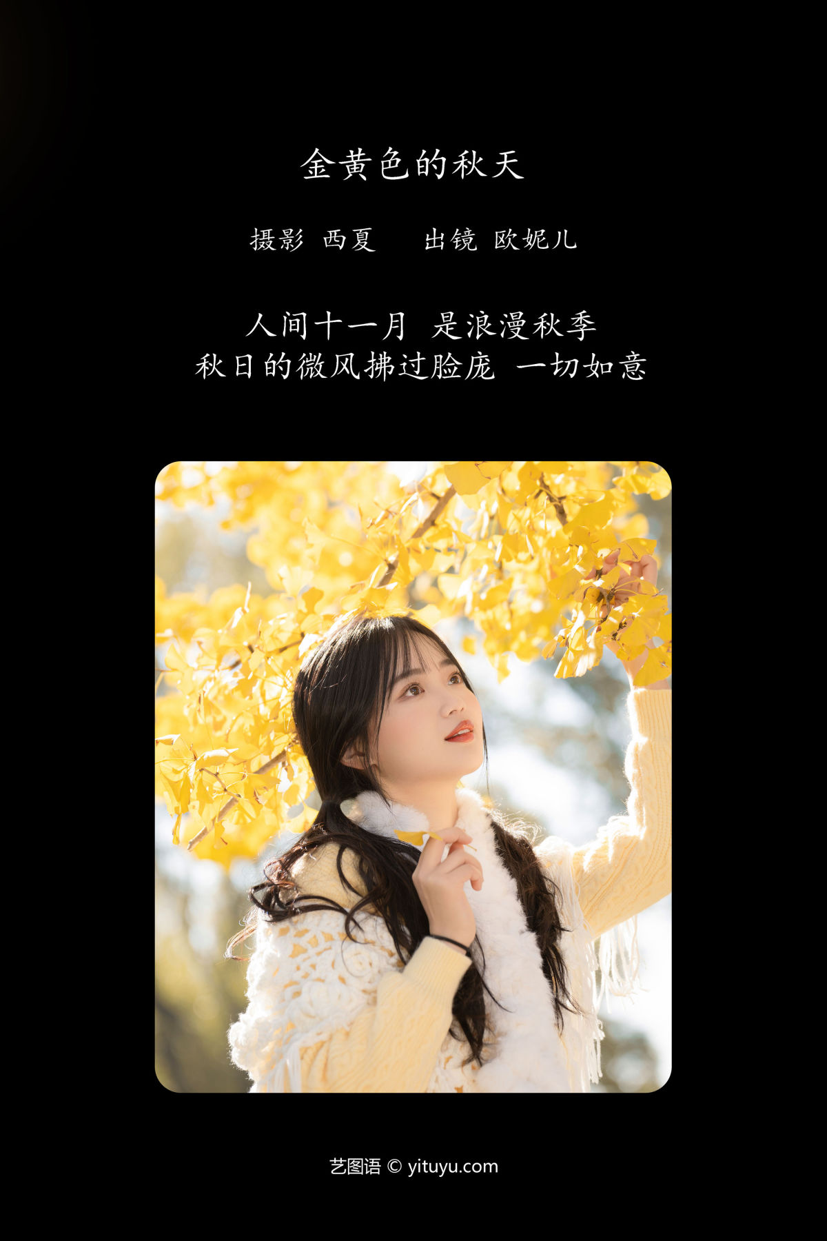 西夏_小欧O《金黄色的秋天》美图作品图片2