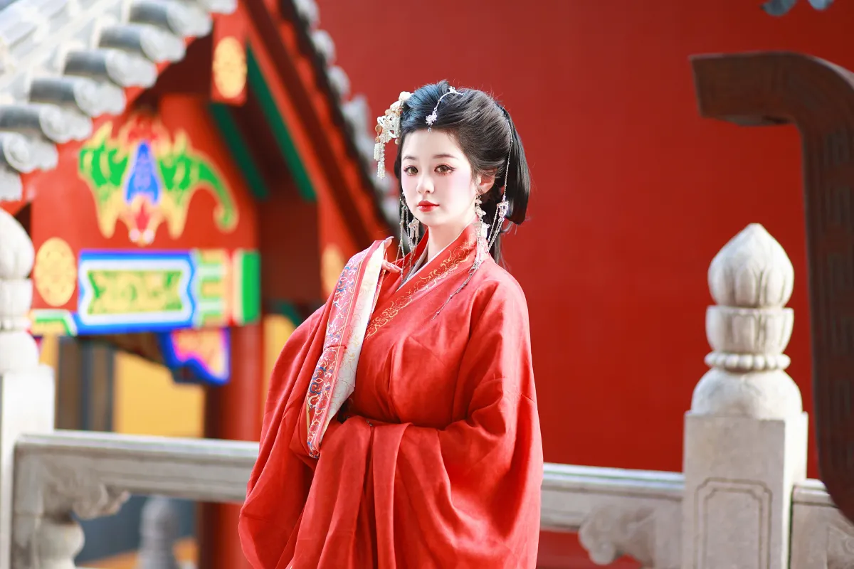 有美人兮