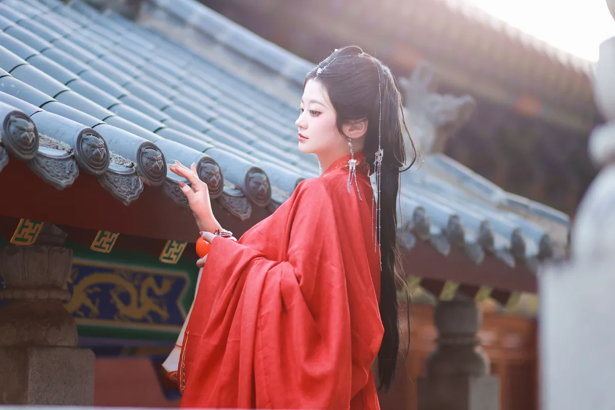 有美人兮