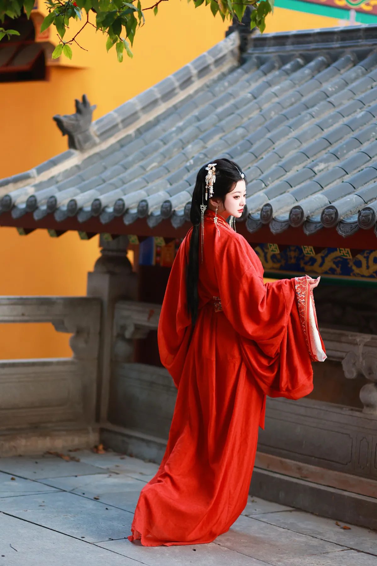 有美人兮