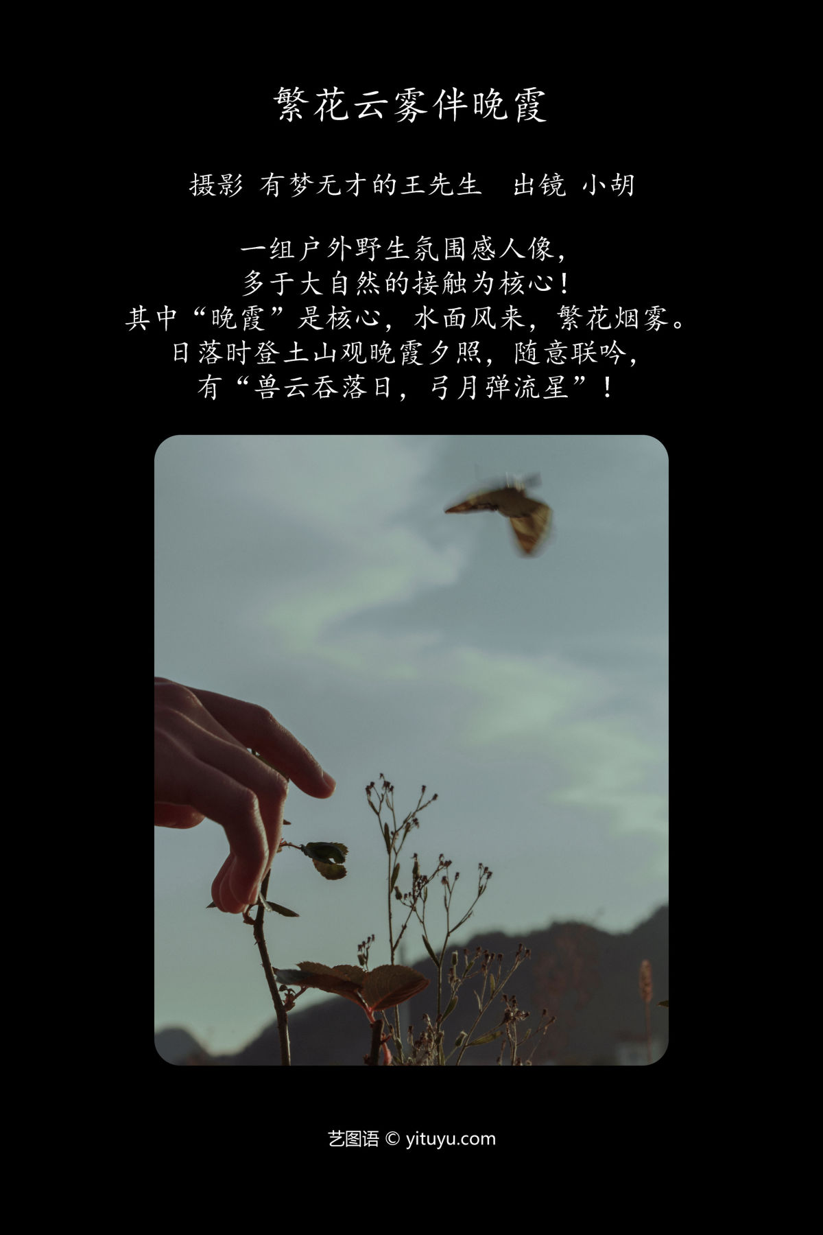 有梦无才的王先生_小胡《繁花云雾伴晚霞》美图作品图片2