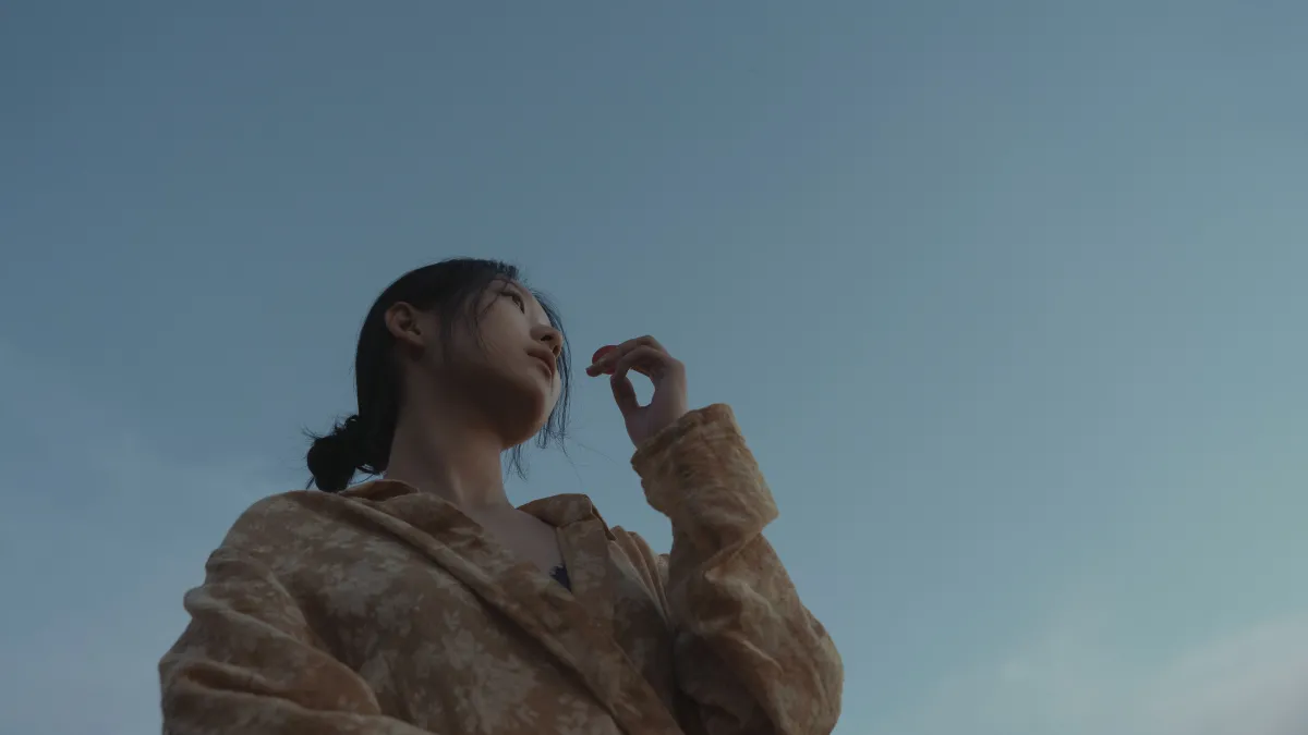 繁花云雾伴晚霞3