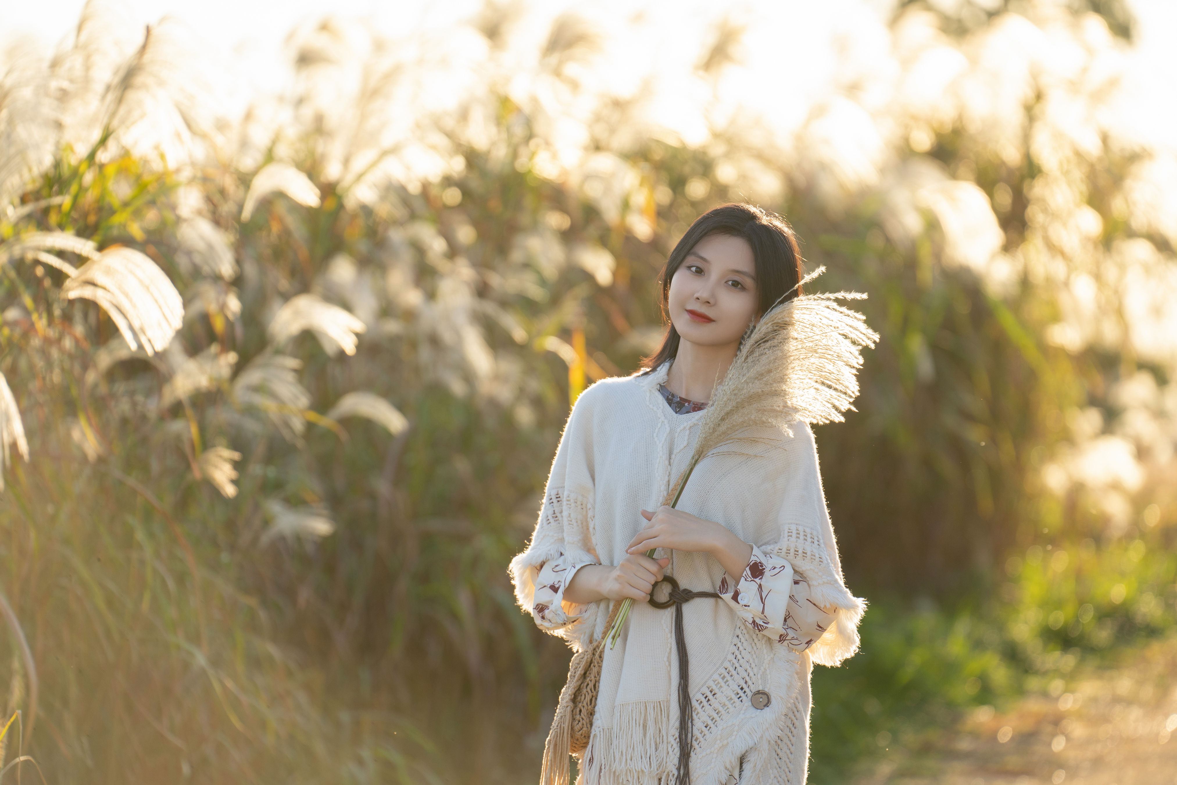 芦苇荡中的秋意