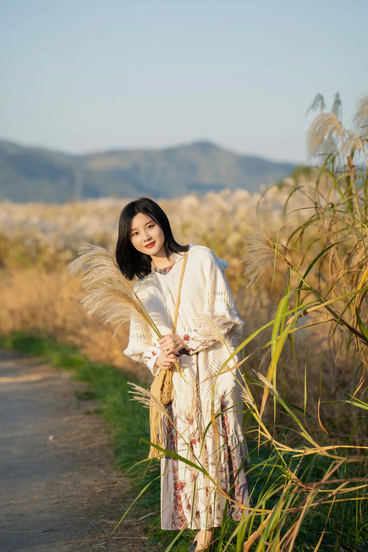 芦苇荡中的秋意
