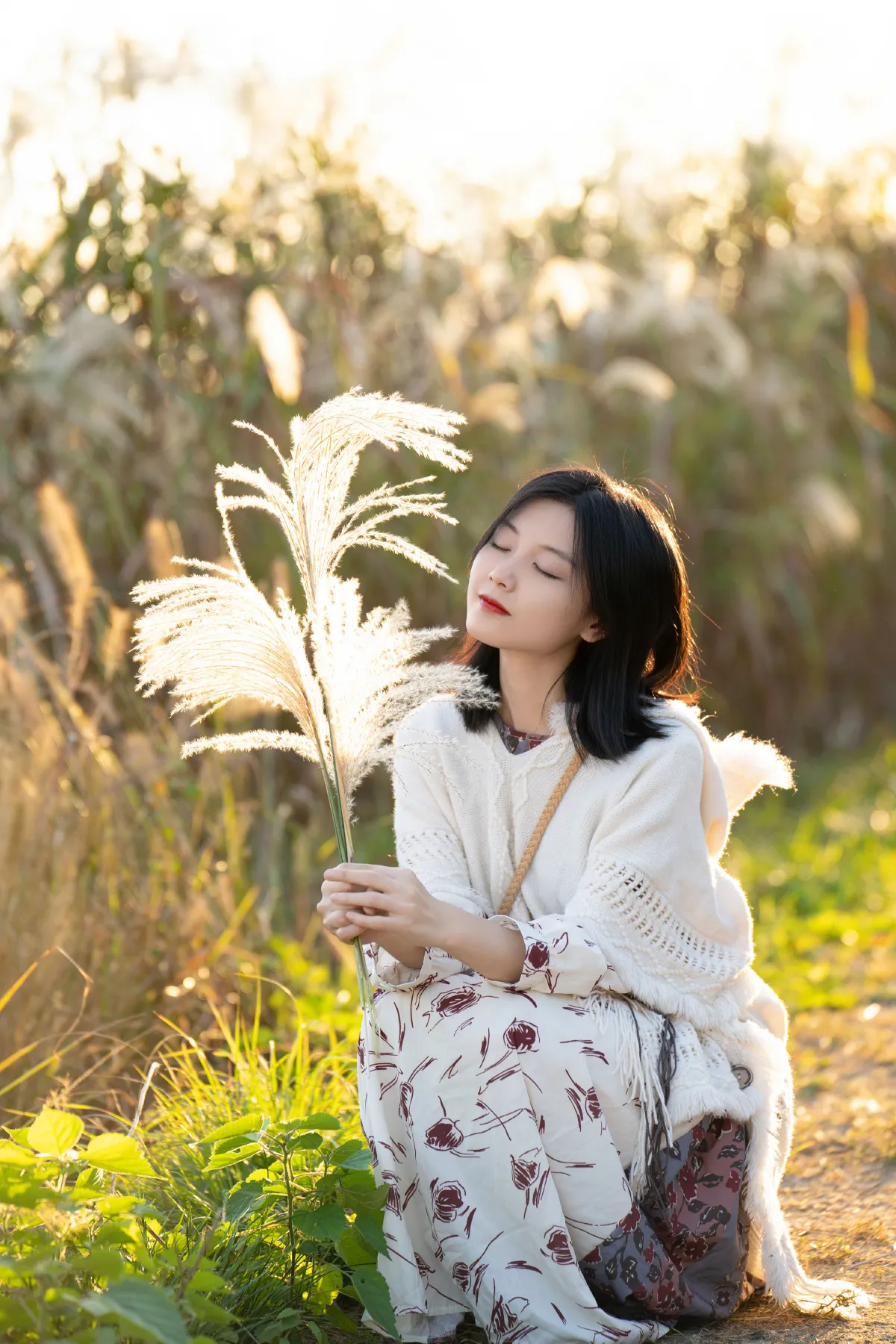 芦苇荡中的秋意