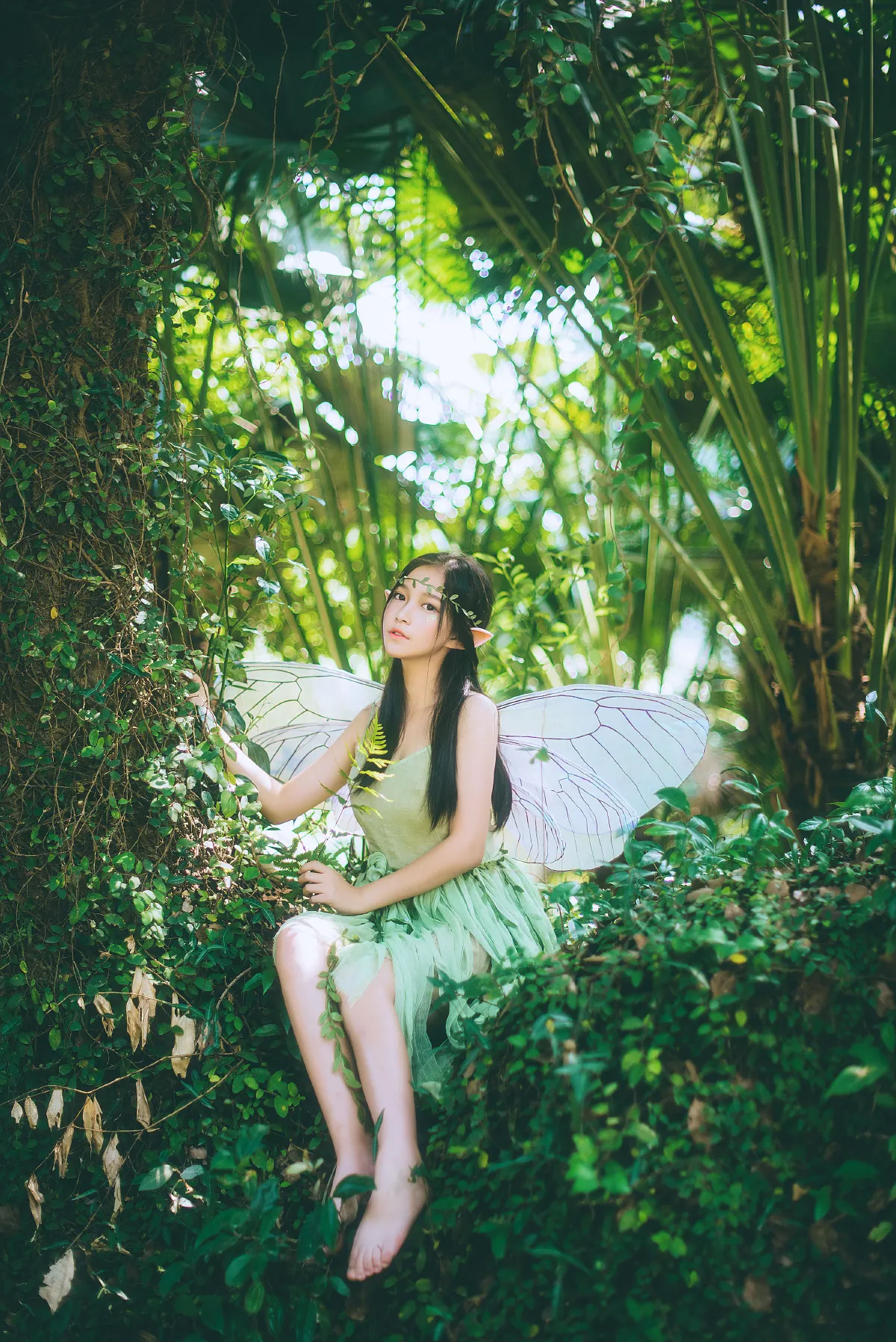 绿色小精灵3