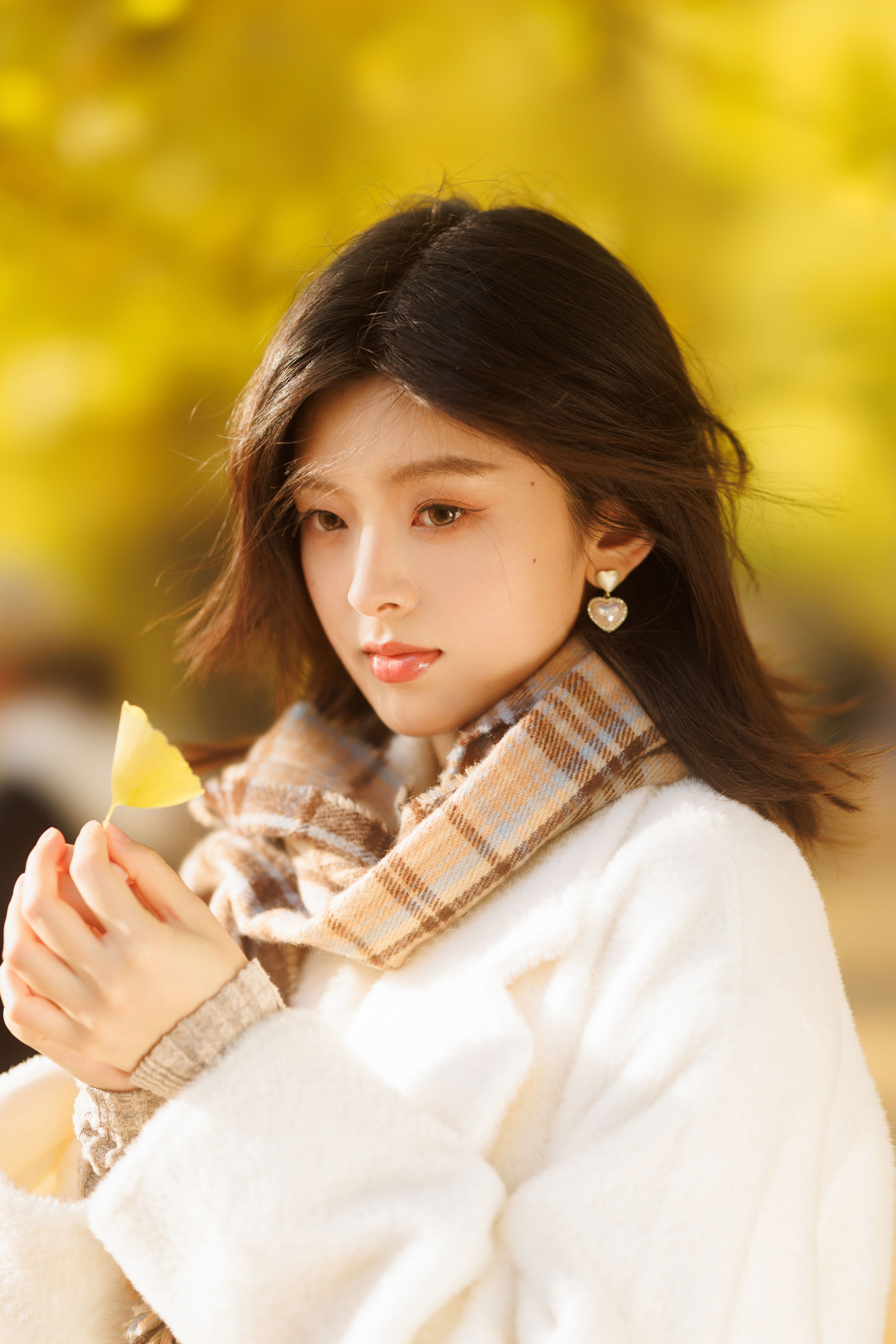 秋日银杏