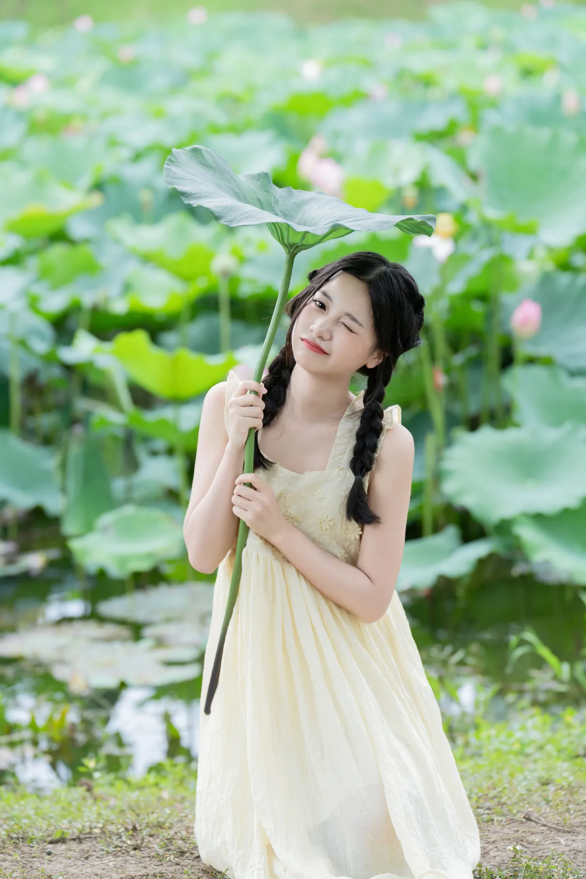 炎炎夏日 荷花少女3