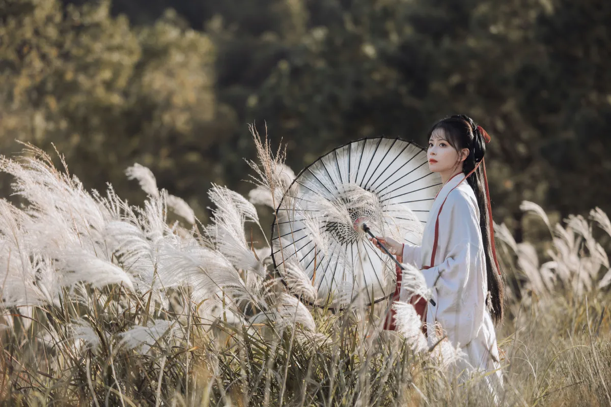 蒹葭苍苍