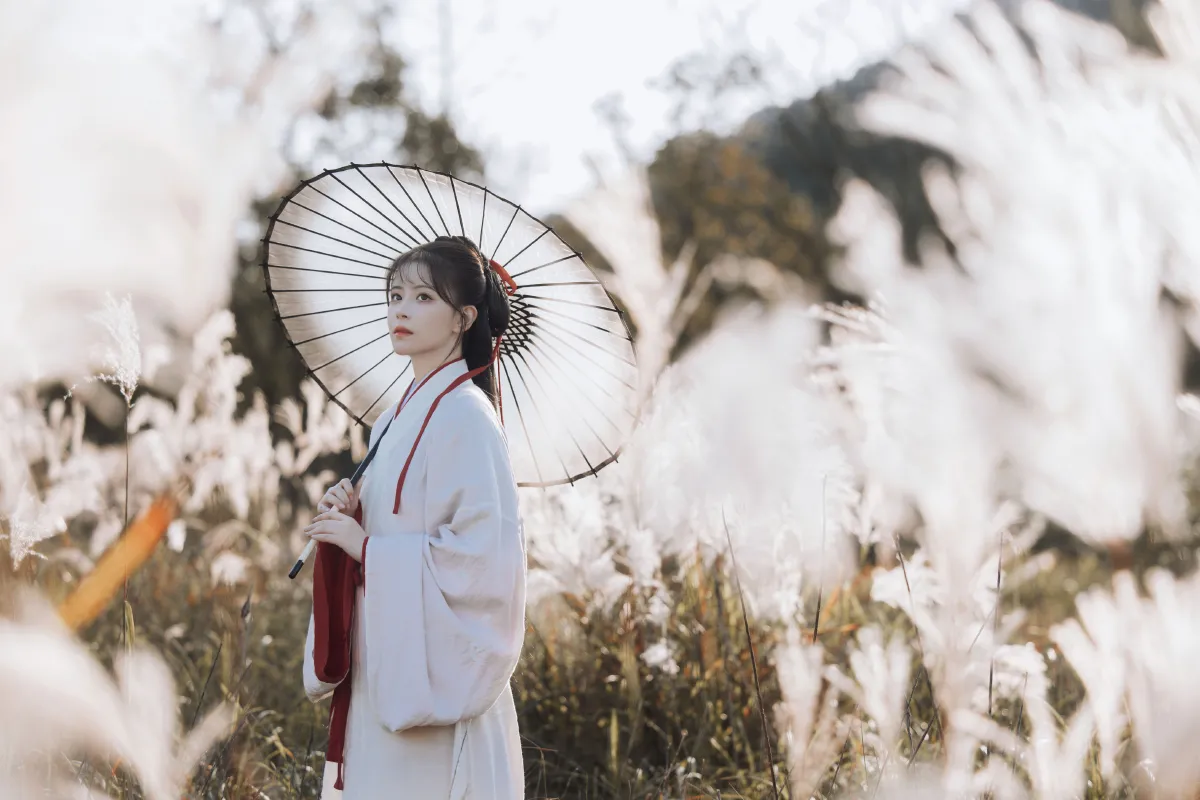 蒹葭苍苍