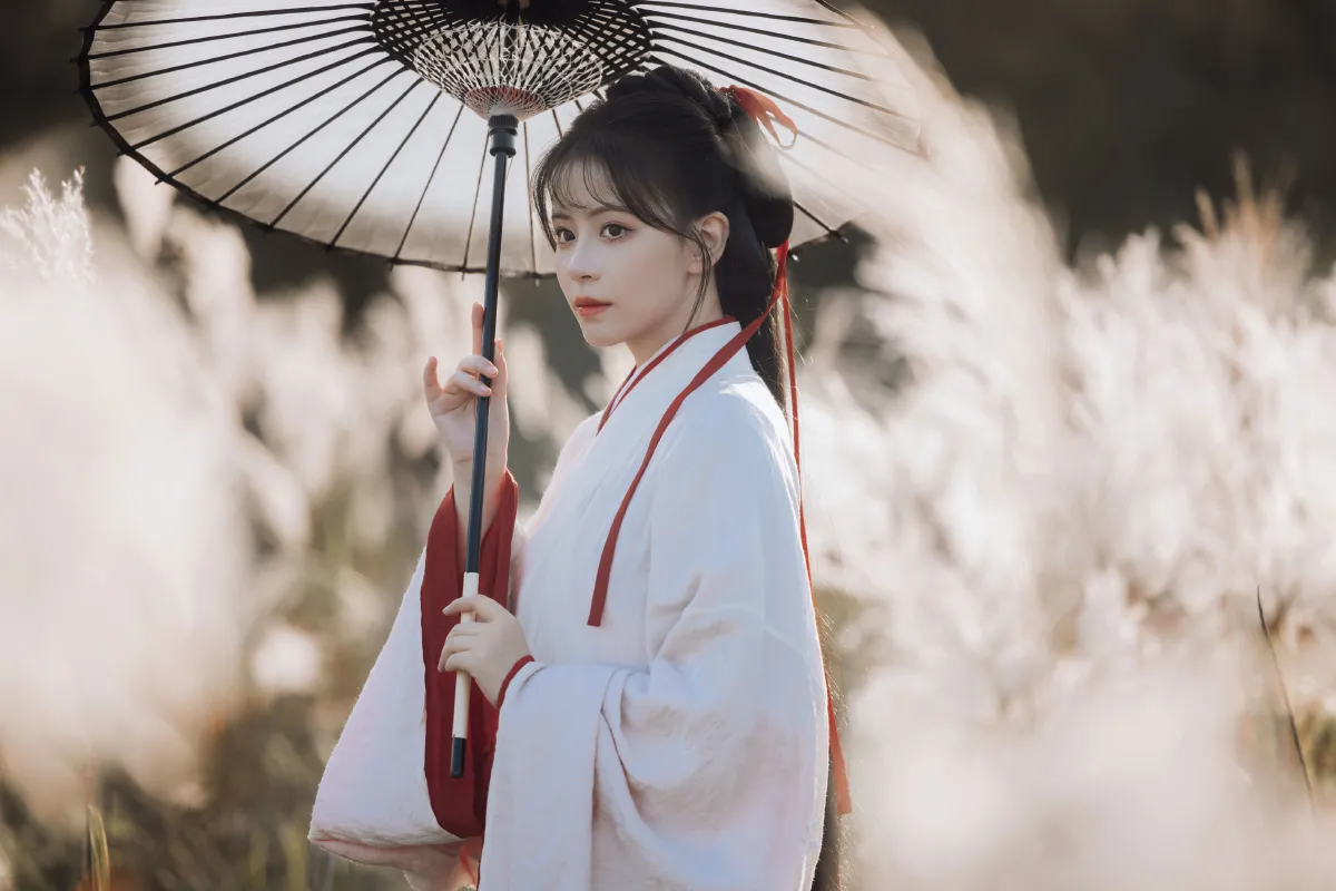 蒹葭苍苍
