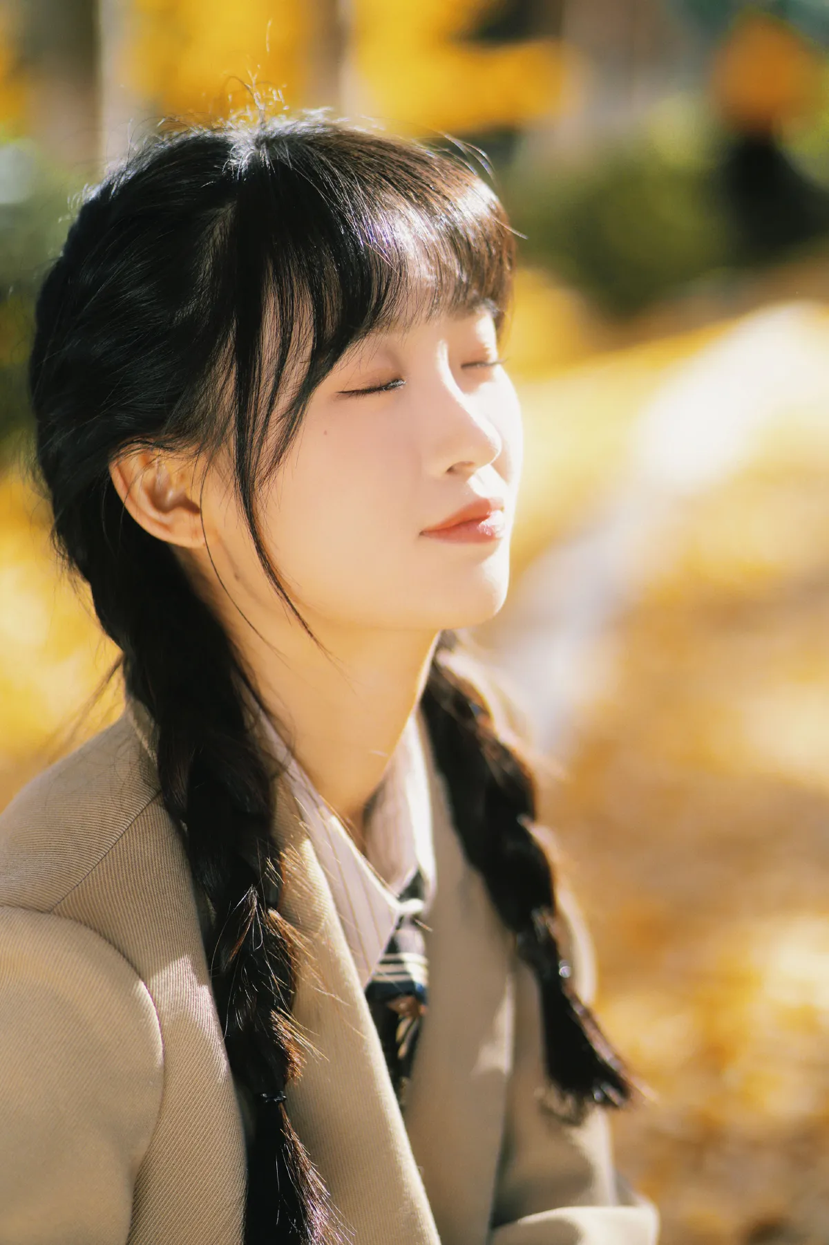 秋是银杏的颜色