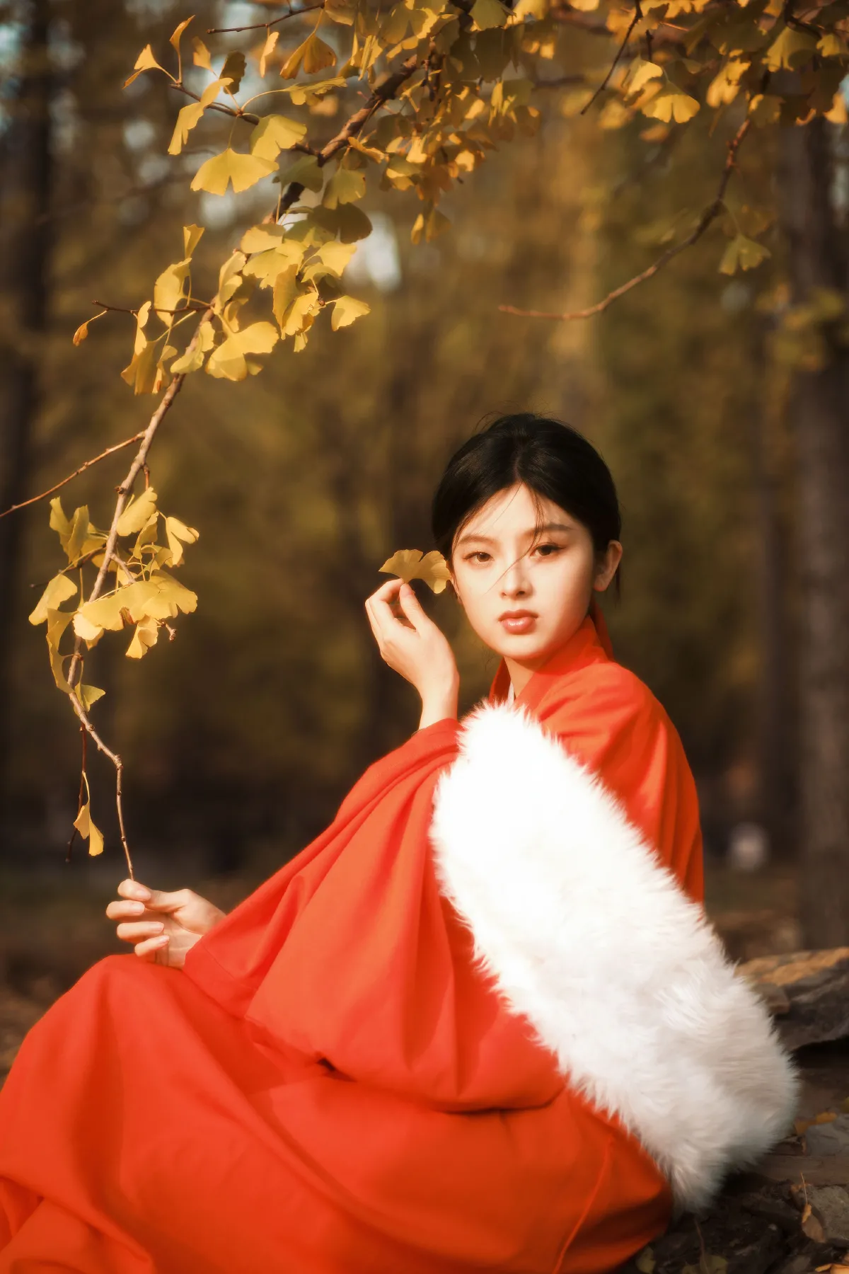 银杏古装1