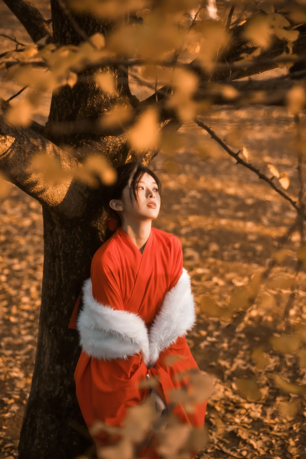 银杏古装
