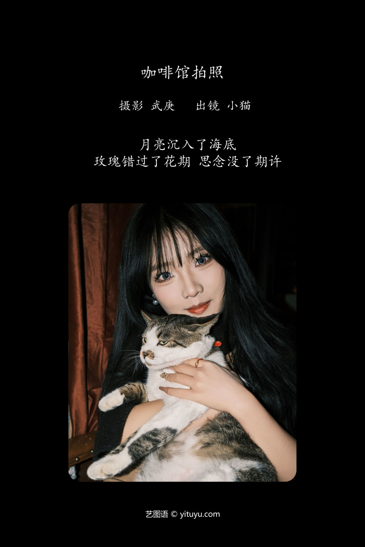 武庚_小猫《咖啡馆拍照》美图作品图片2