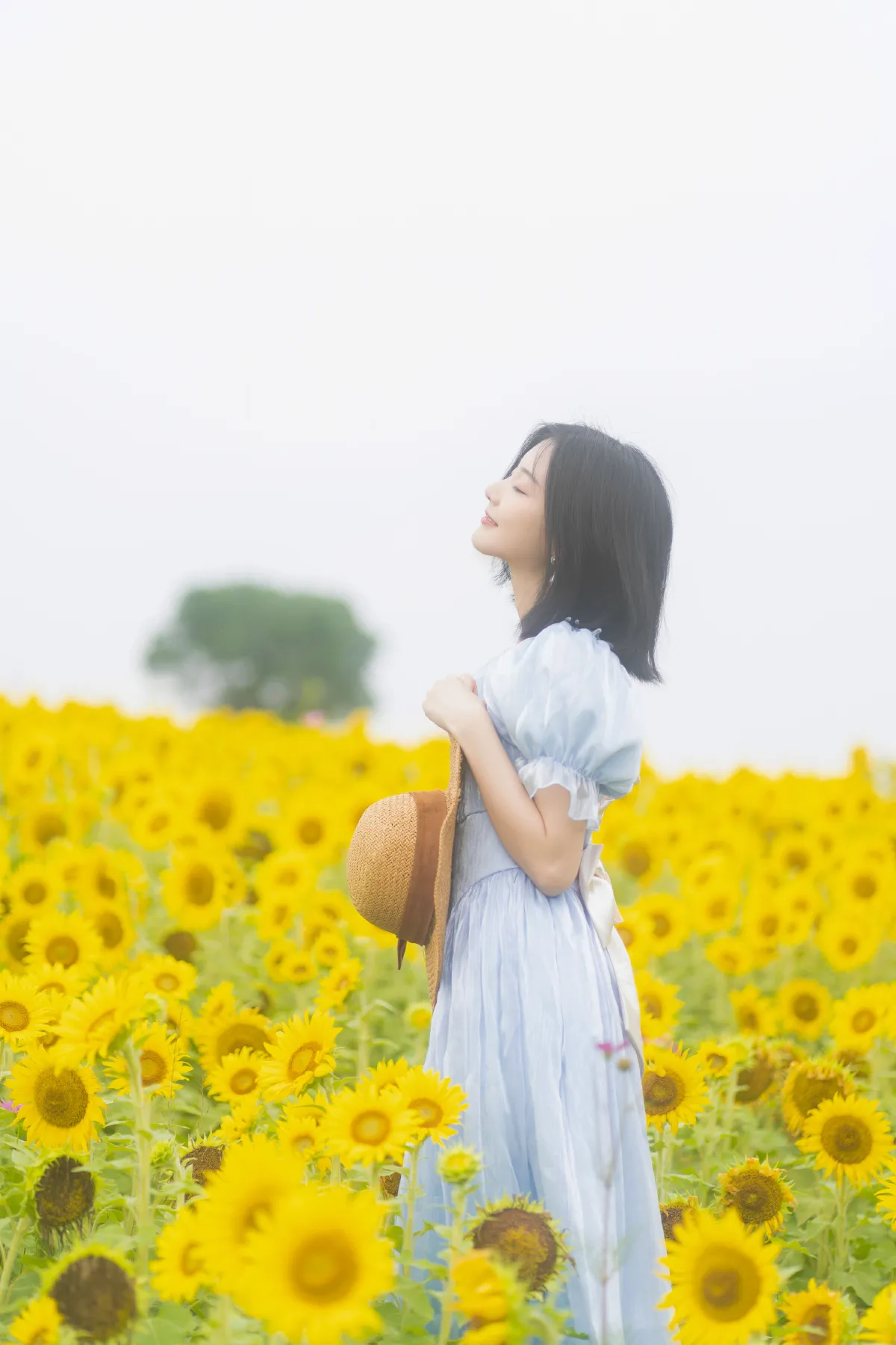 盛放2
