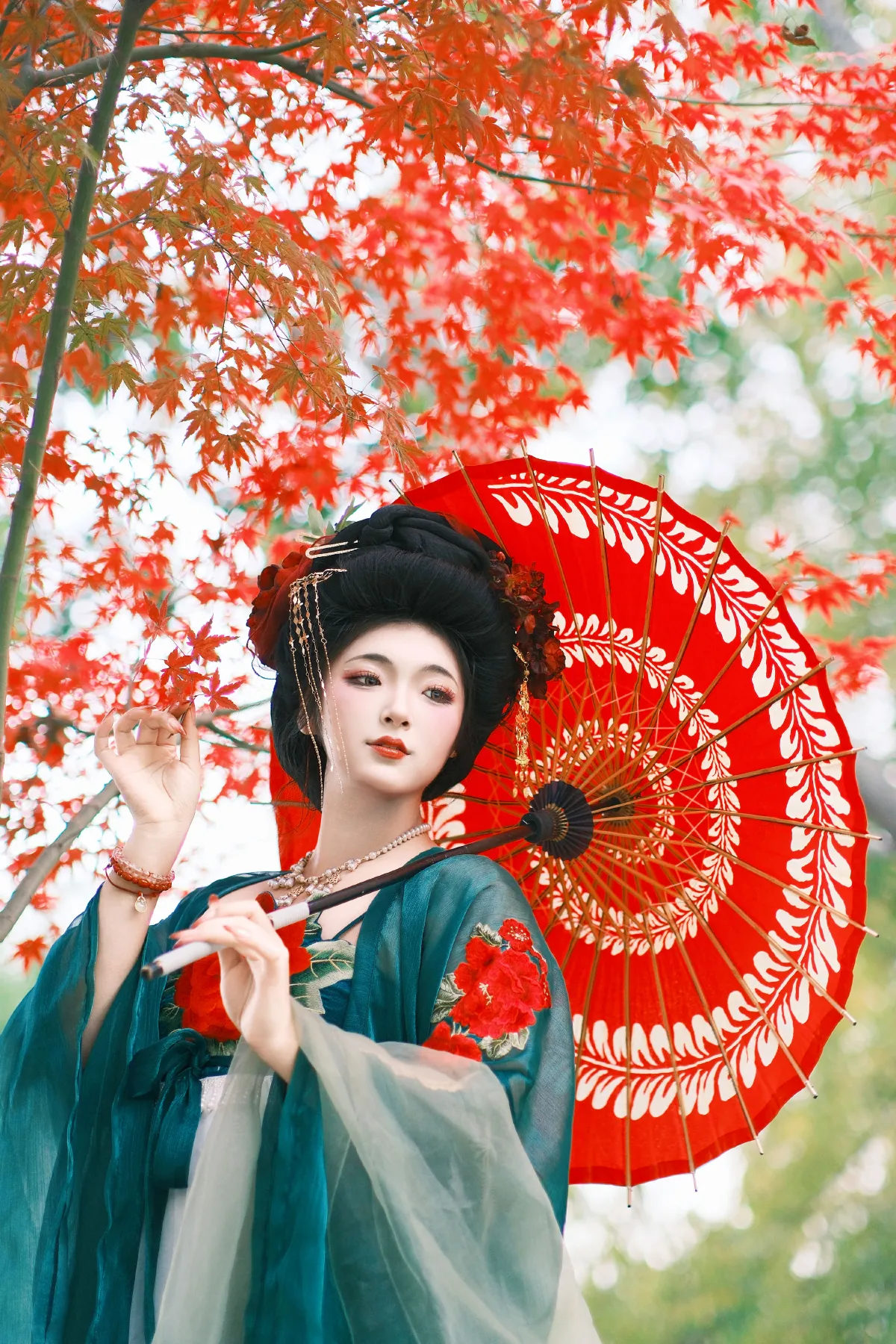 枫林晚