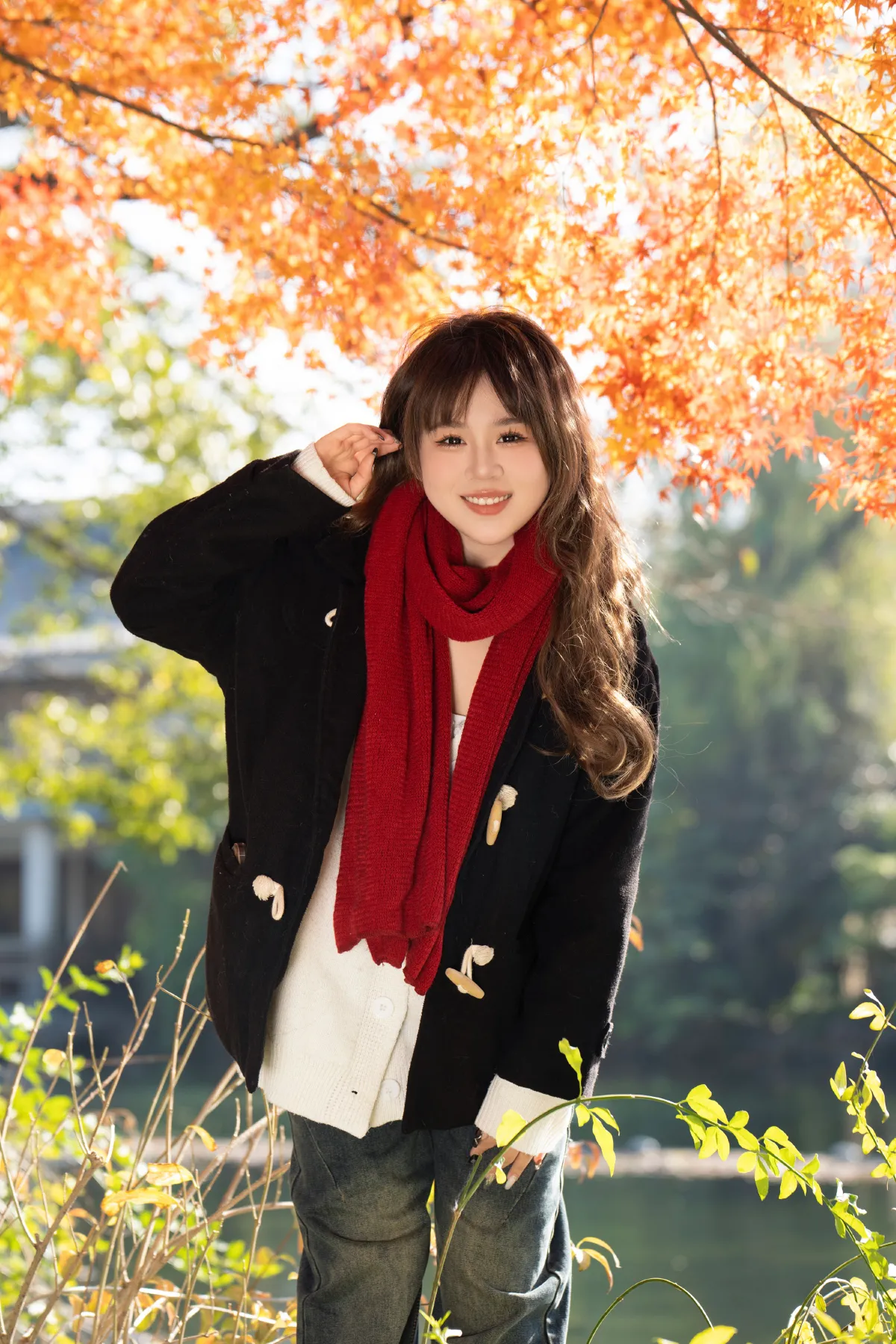 枫4