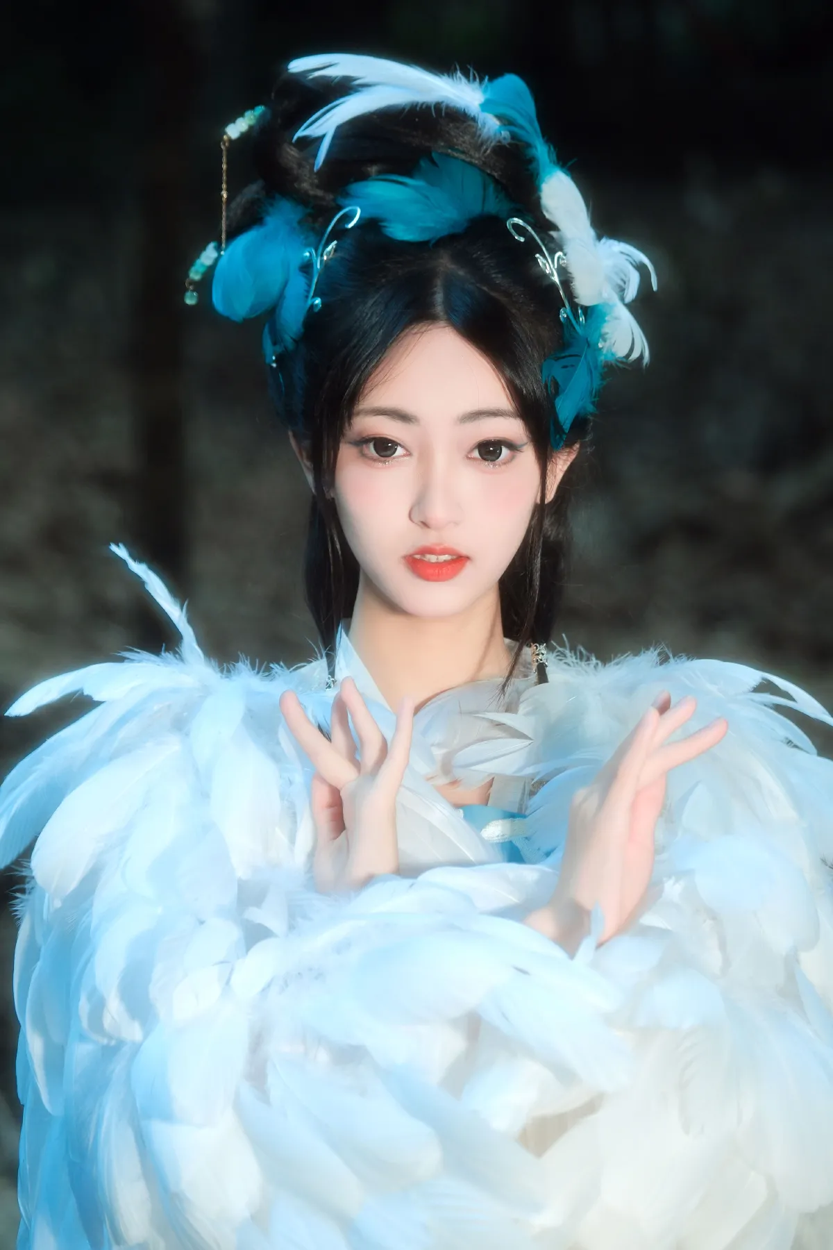 林中雀1