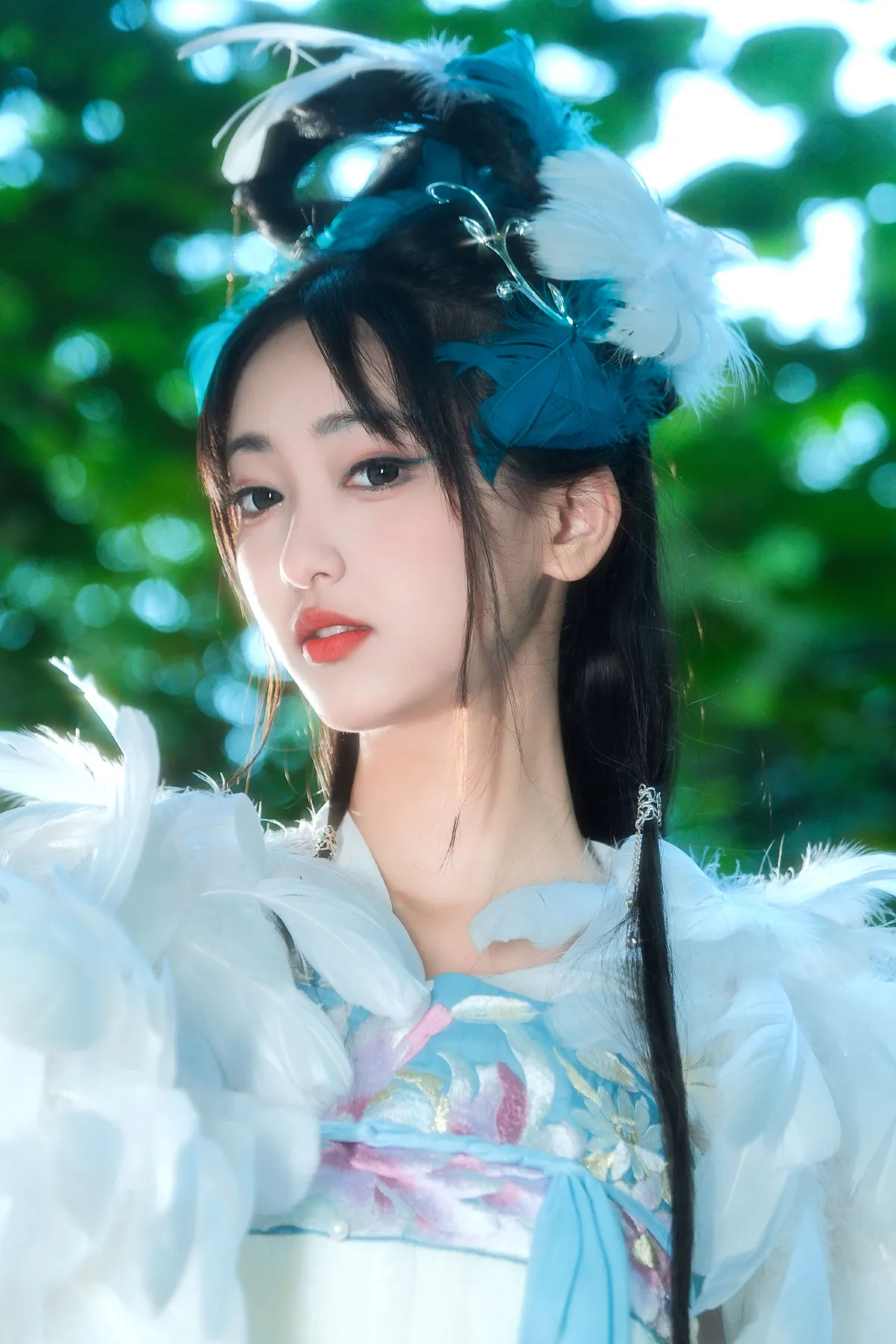 林中雀2