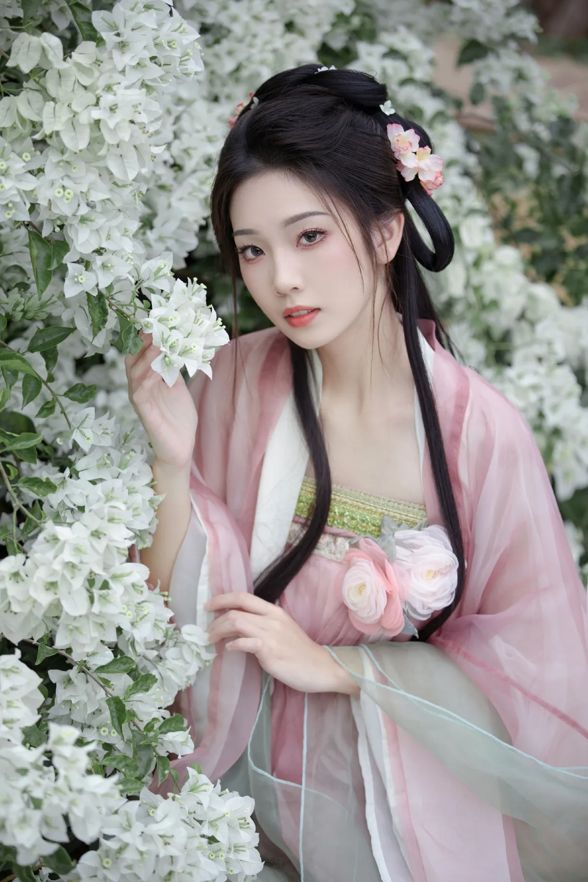 数枝雪1