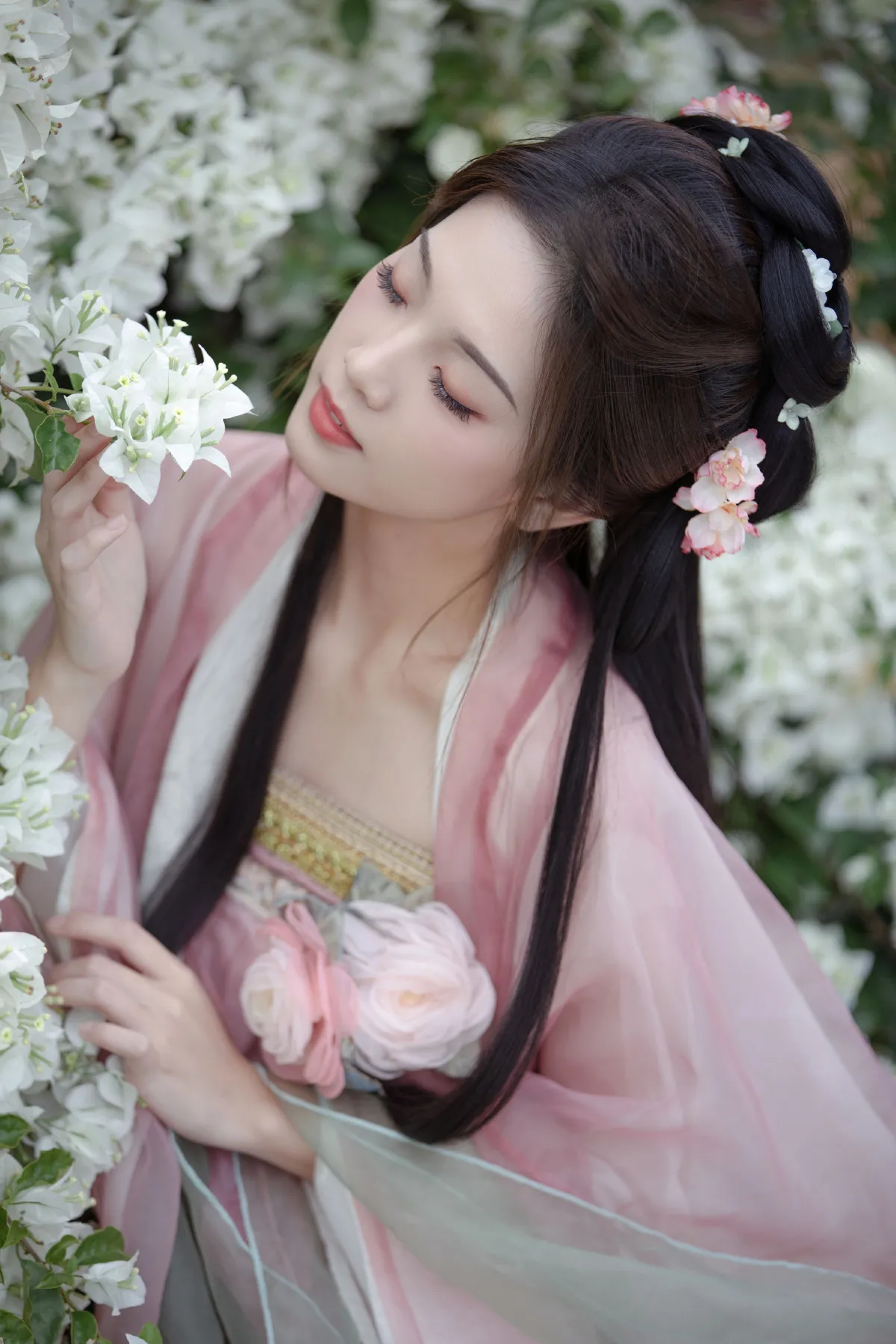 数枝雪3