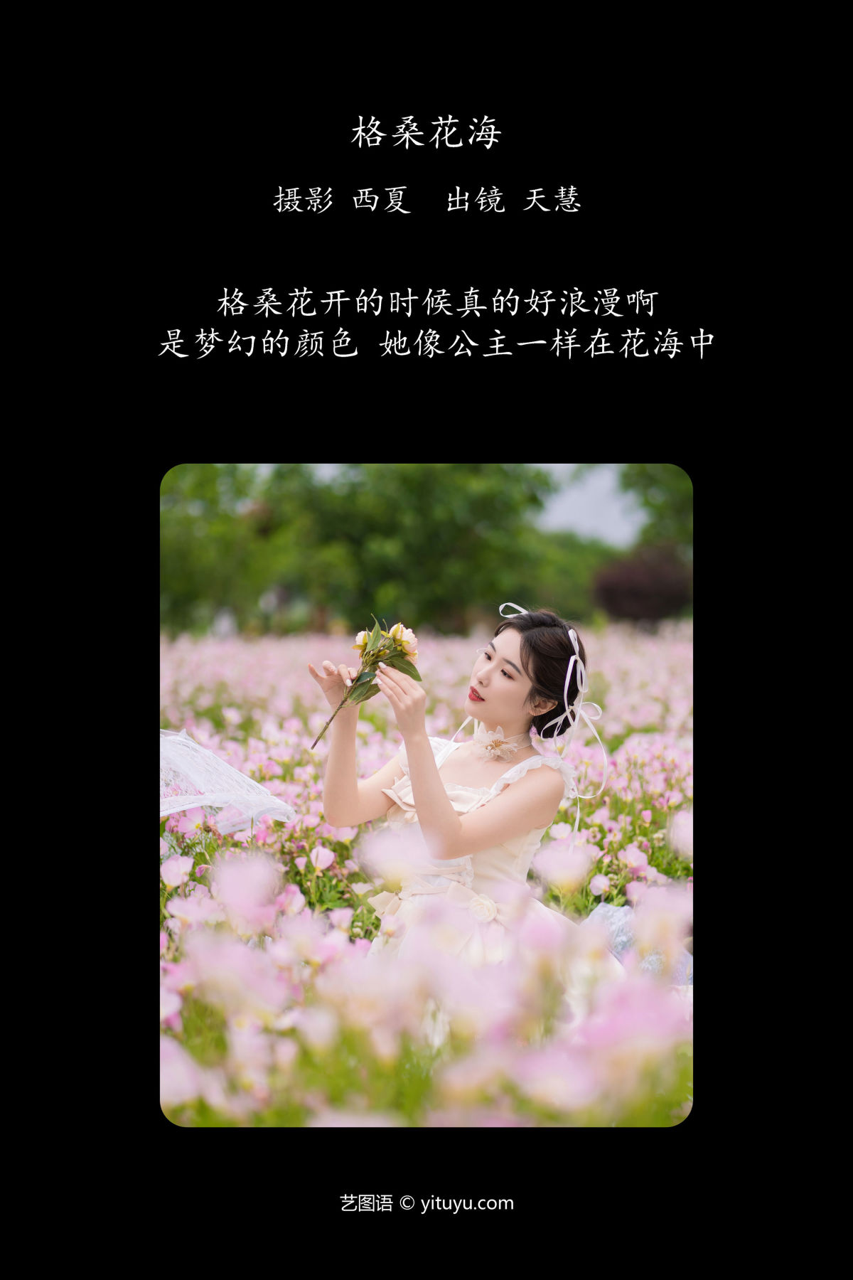 西夏_天慧《格桑花海》美图作品图片2