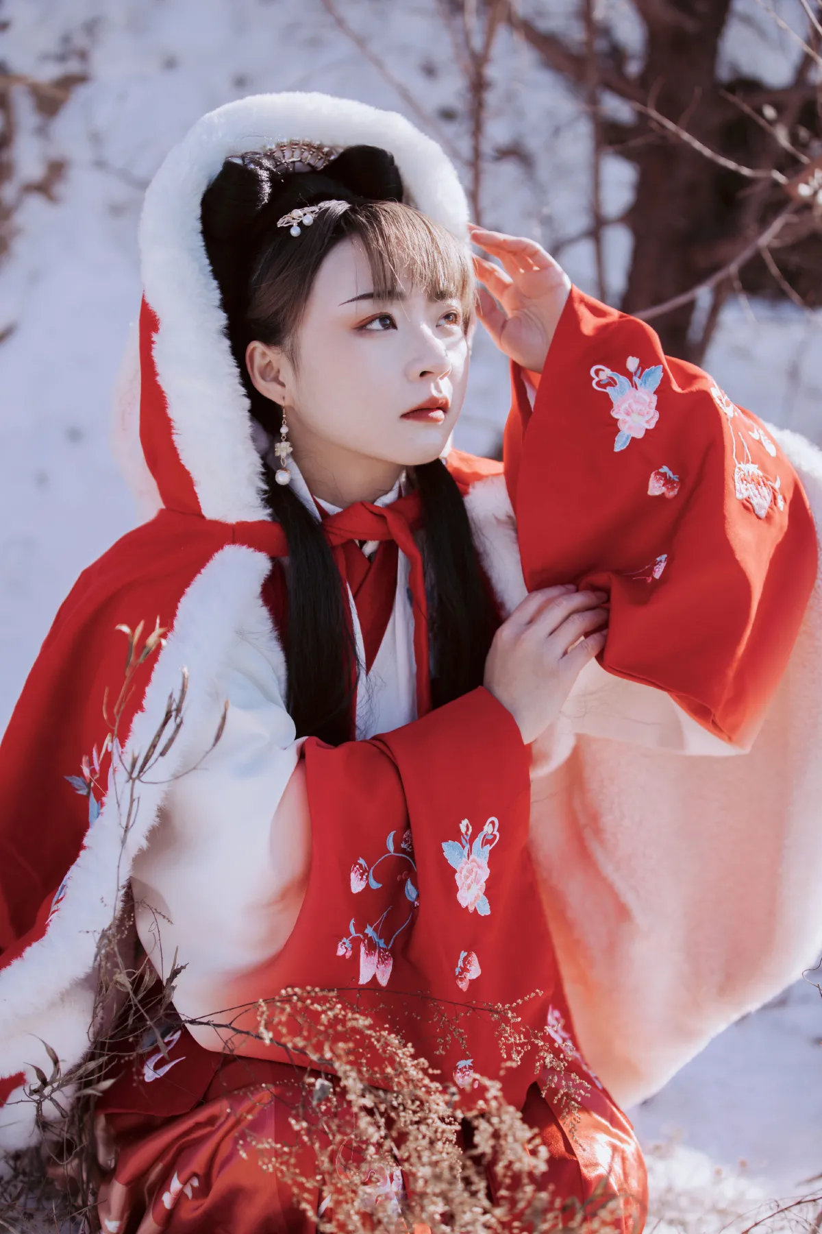 千山暮雪 只影向谁去3