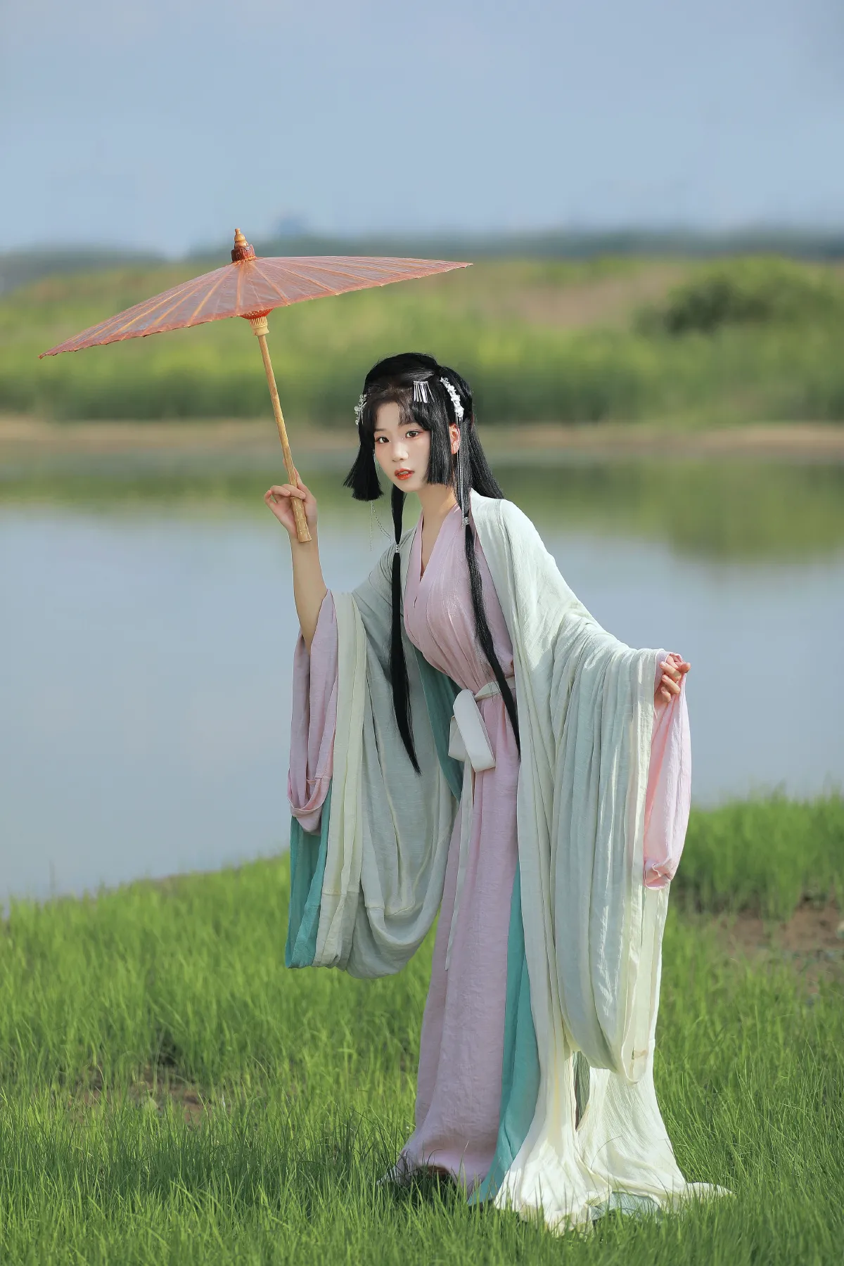 蒹葭