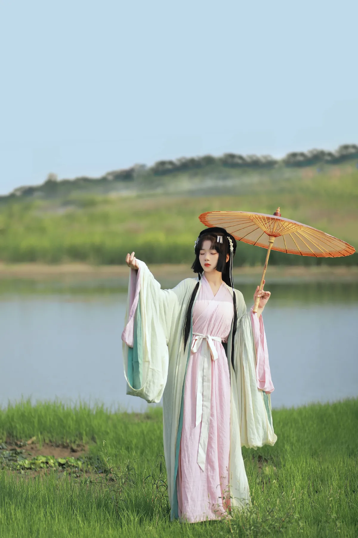 蒹葭