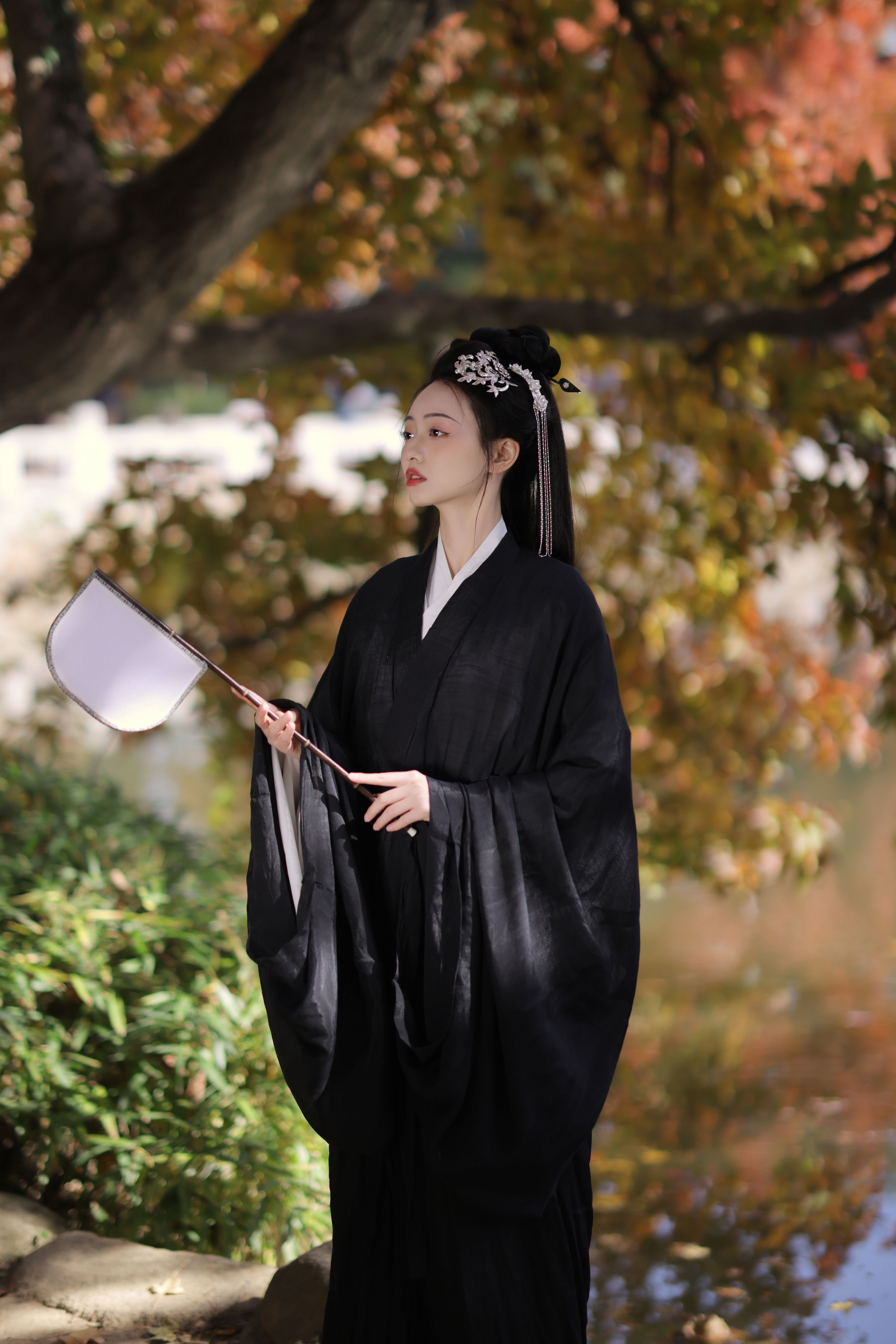 银杏1