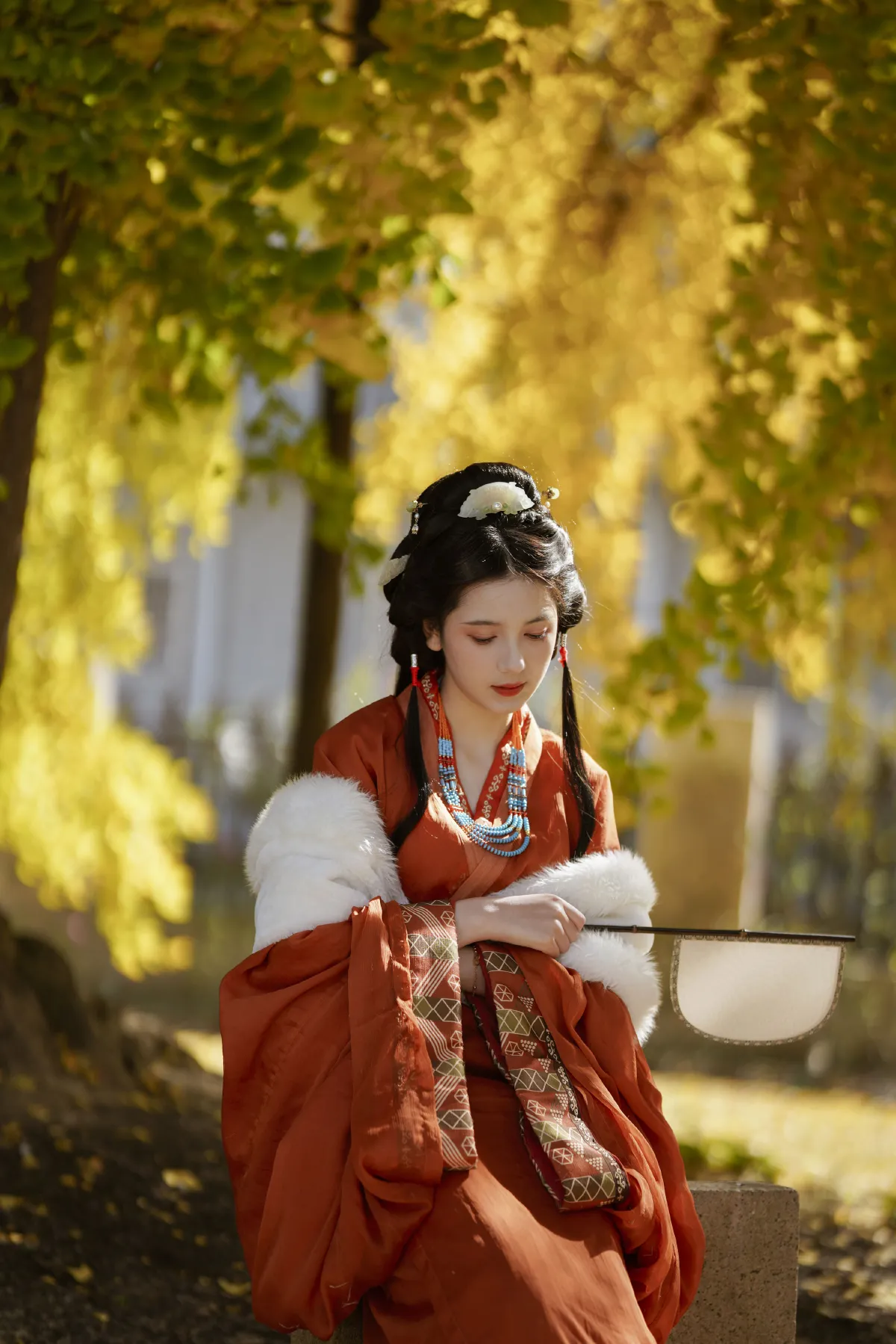 深秋杏情