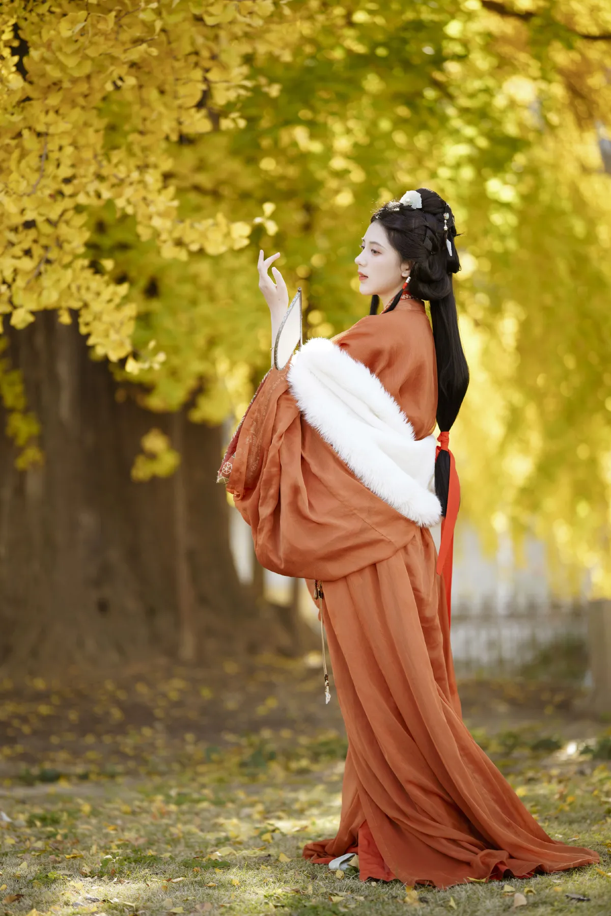 深秋杏情
