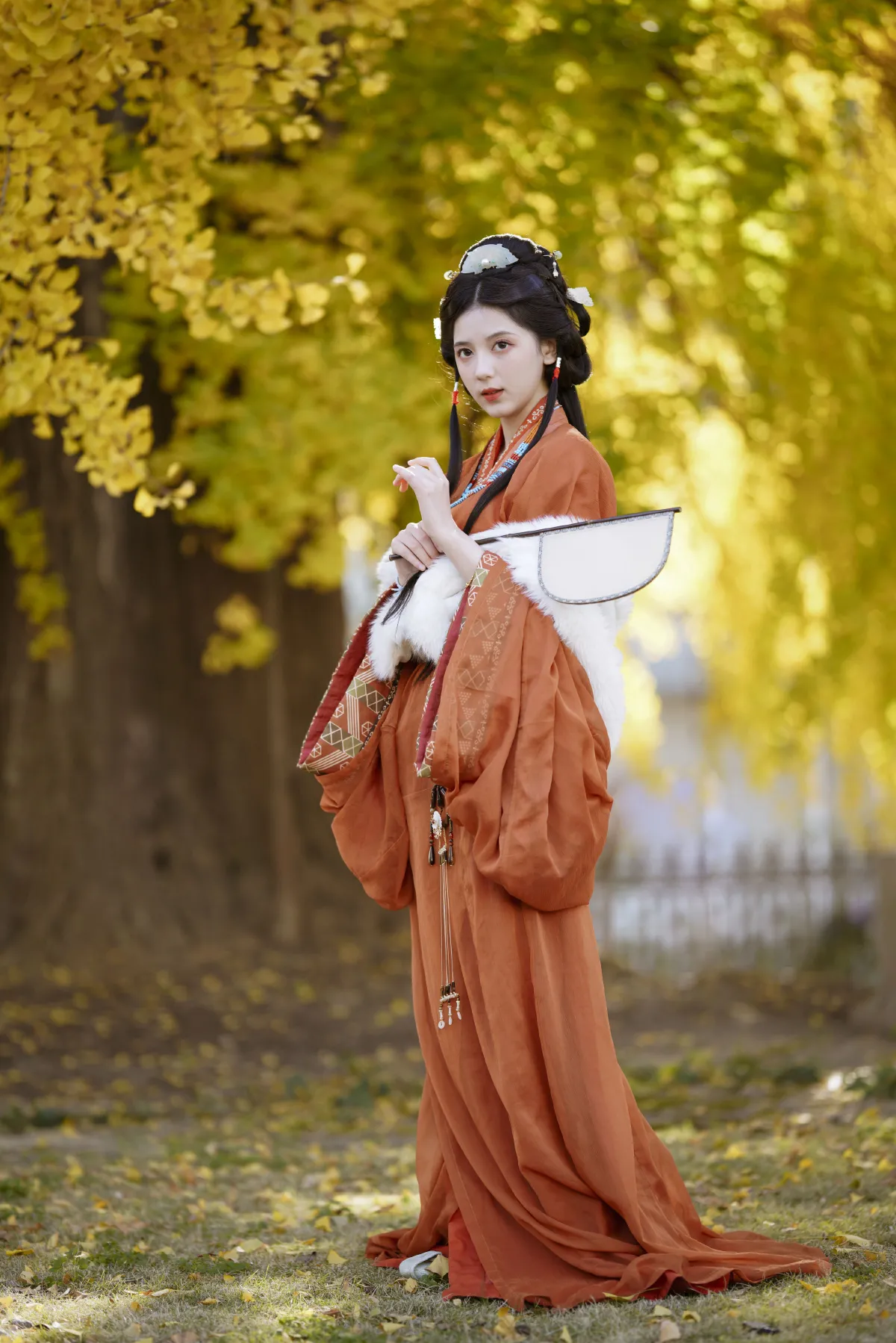 深秋杏情3