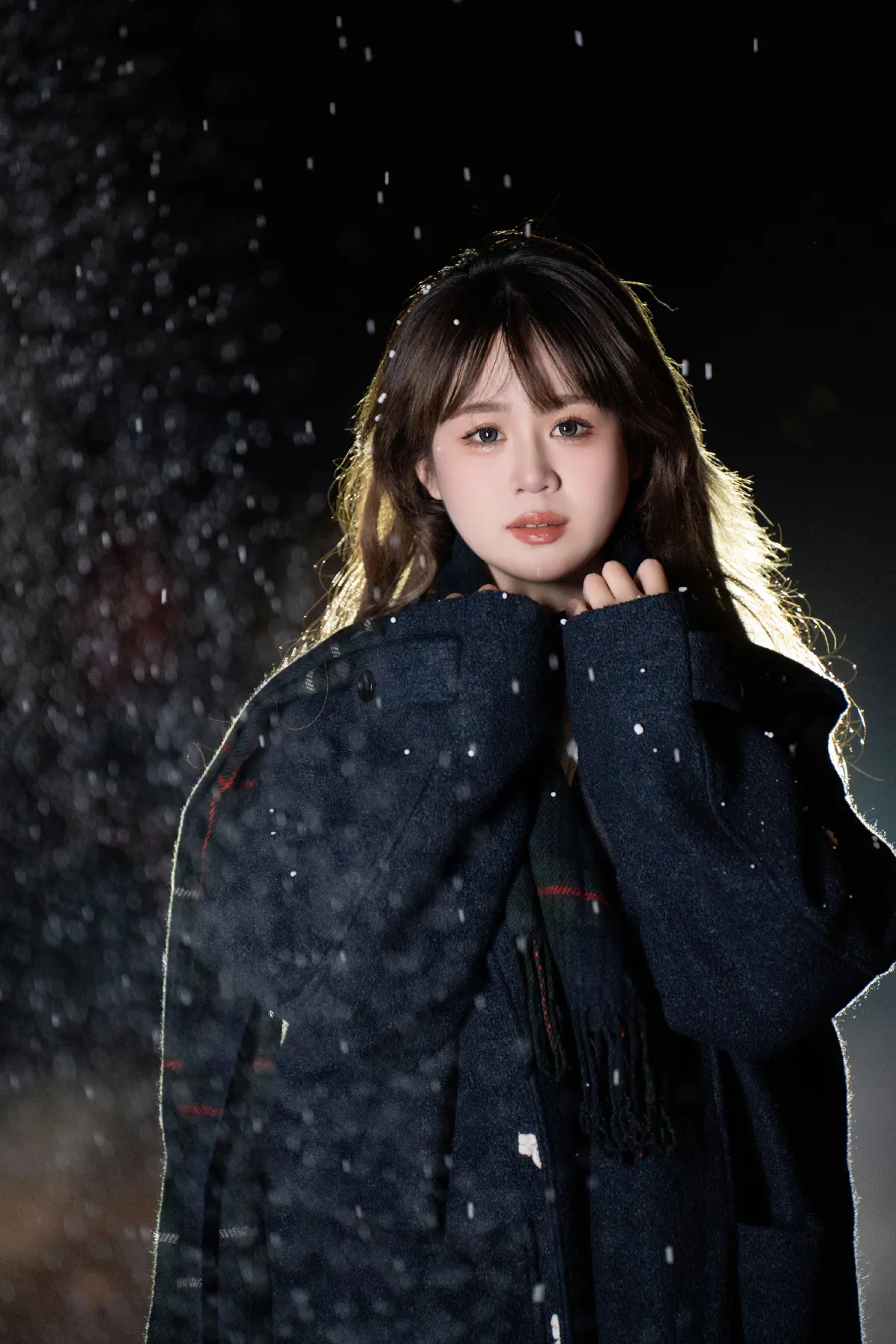 我期待的不是雪