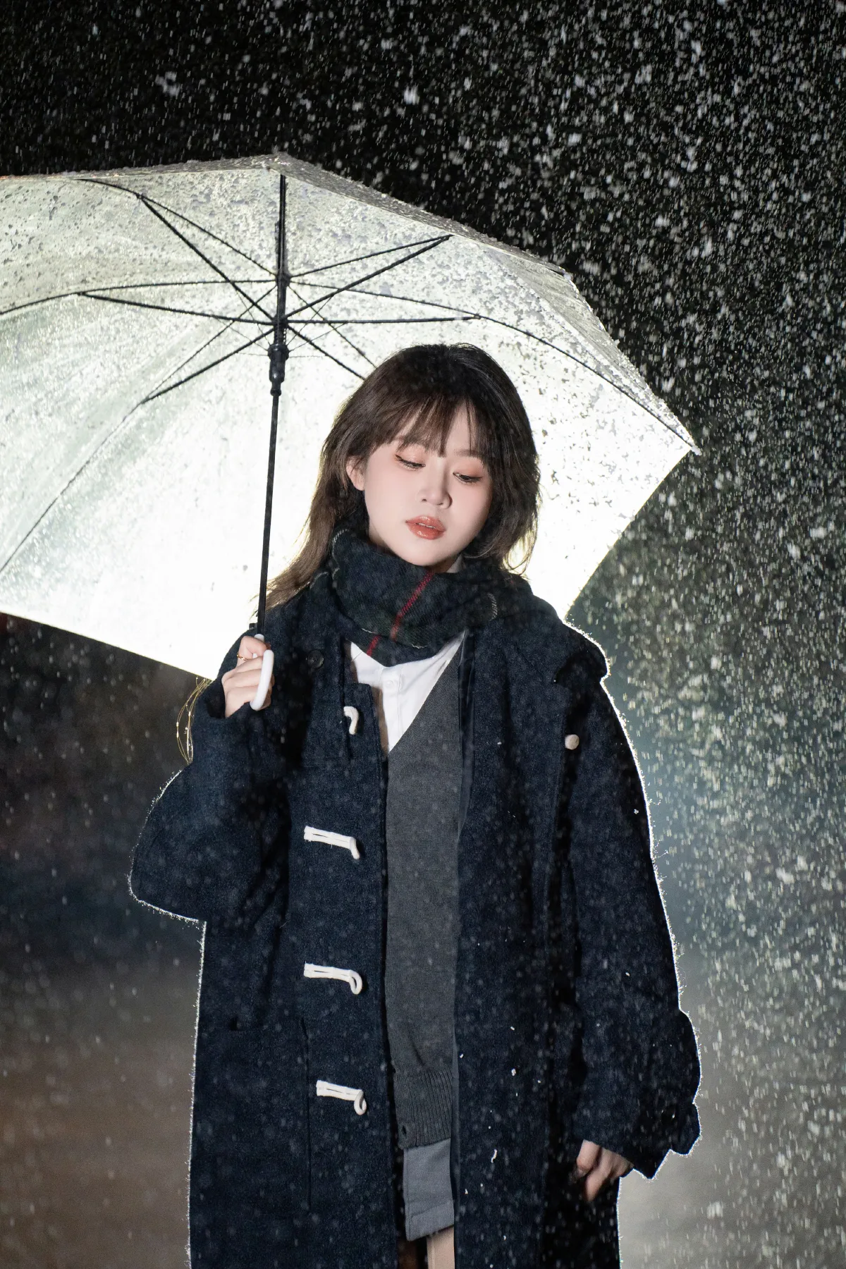 我期待的不是雪