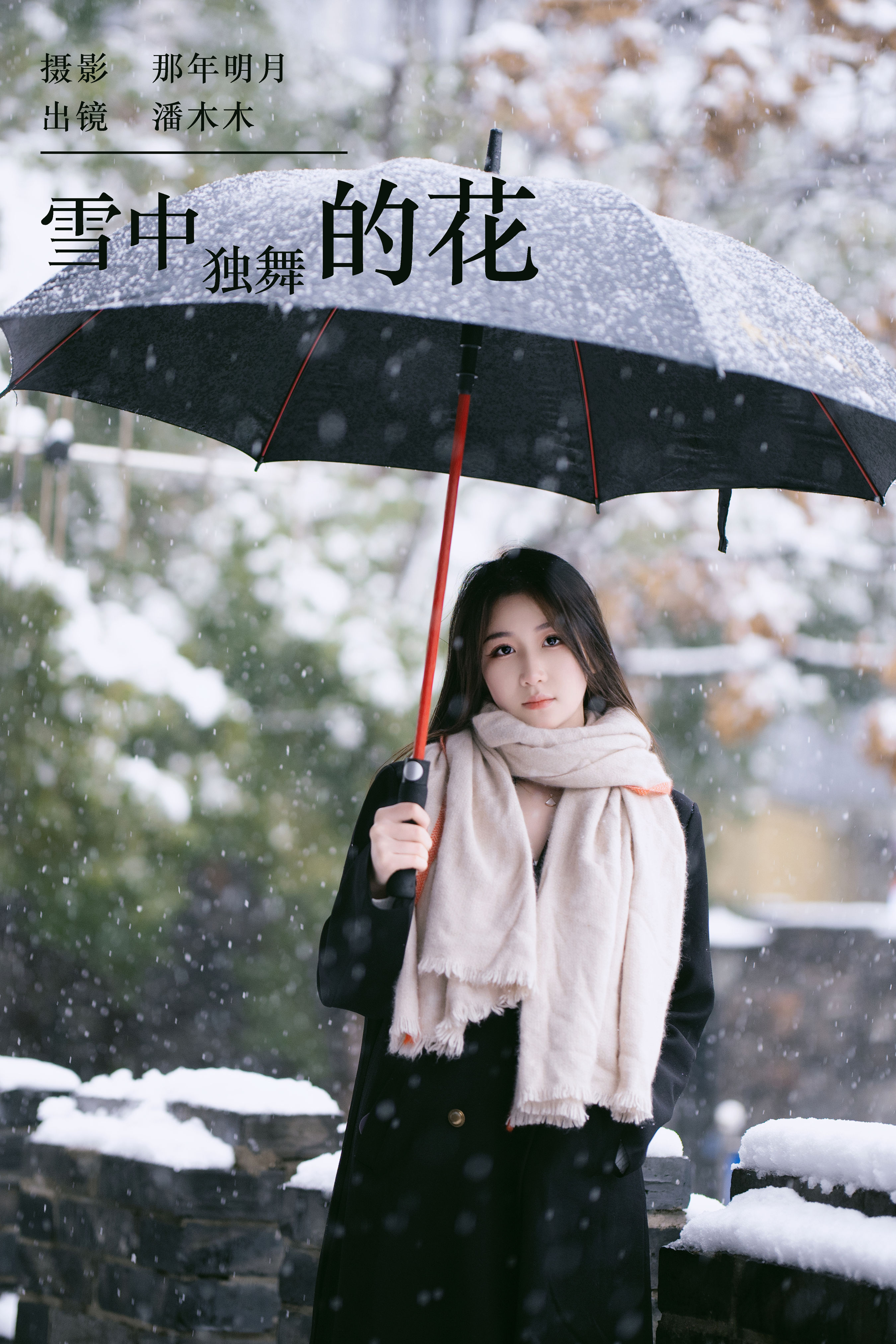 那年明月_潘木木《雪中独舞的花》美图作品图片1