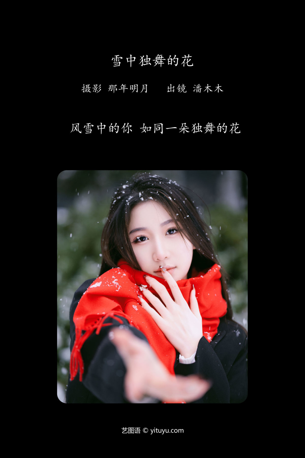 那年明月_潘木木《雪中独舞的花》美图作品图片2